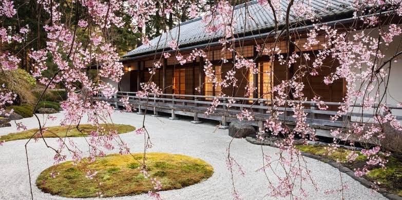 Guest House in the Heart of the Alphabet District- Monthly rental only, Guesthouse in Portland