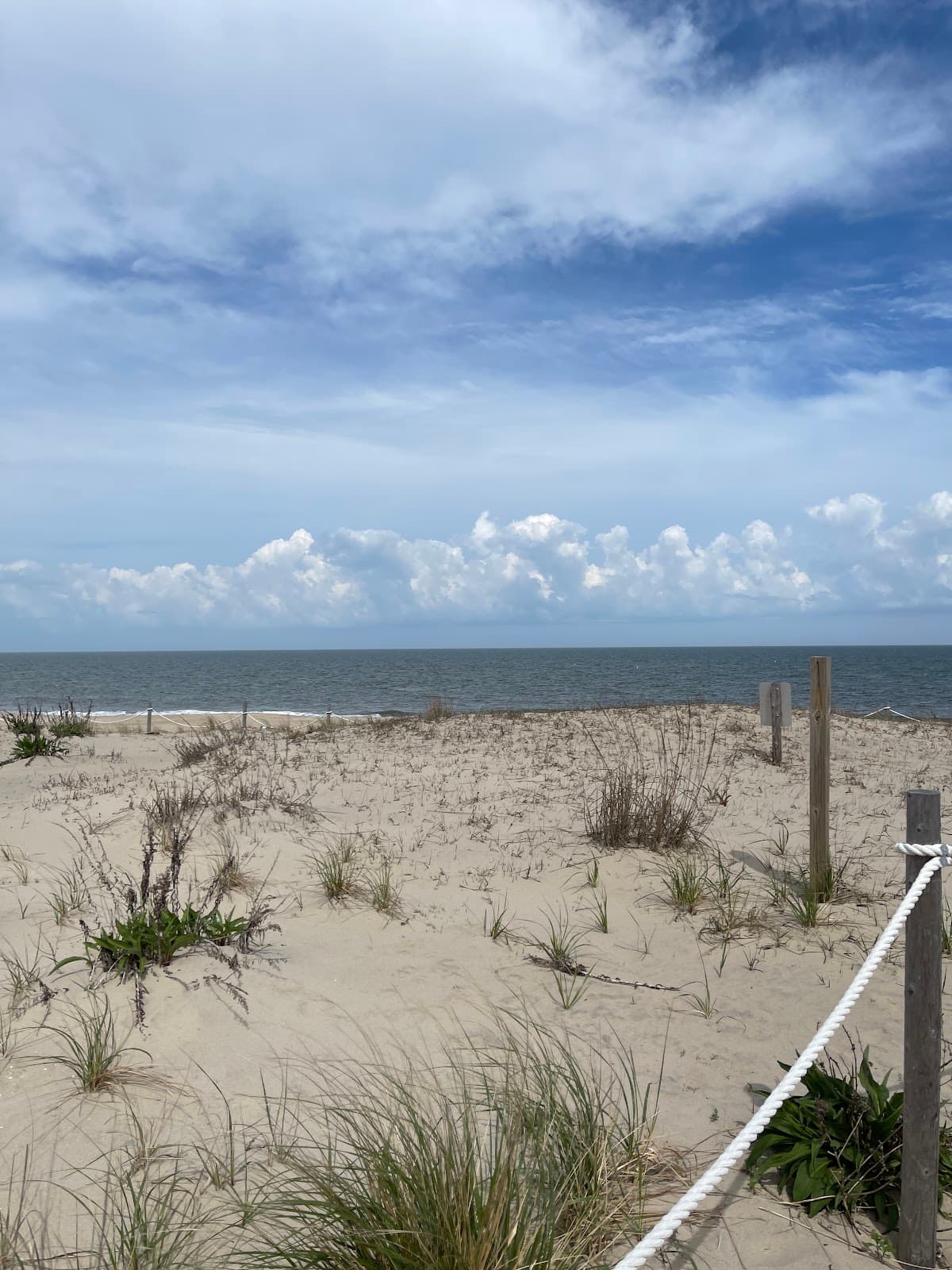 Beachcomber, Hotel in Rehoboth Beach
