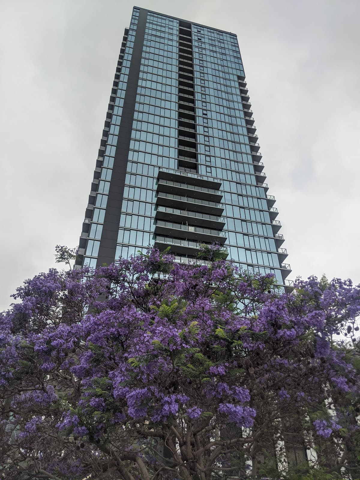 The Pine Hotel, Hotel in San Diego