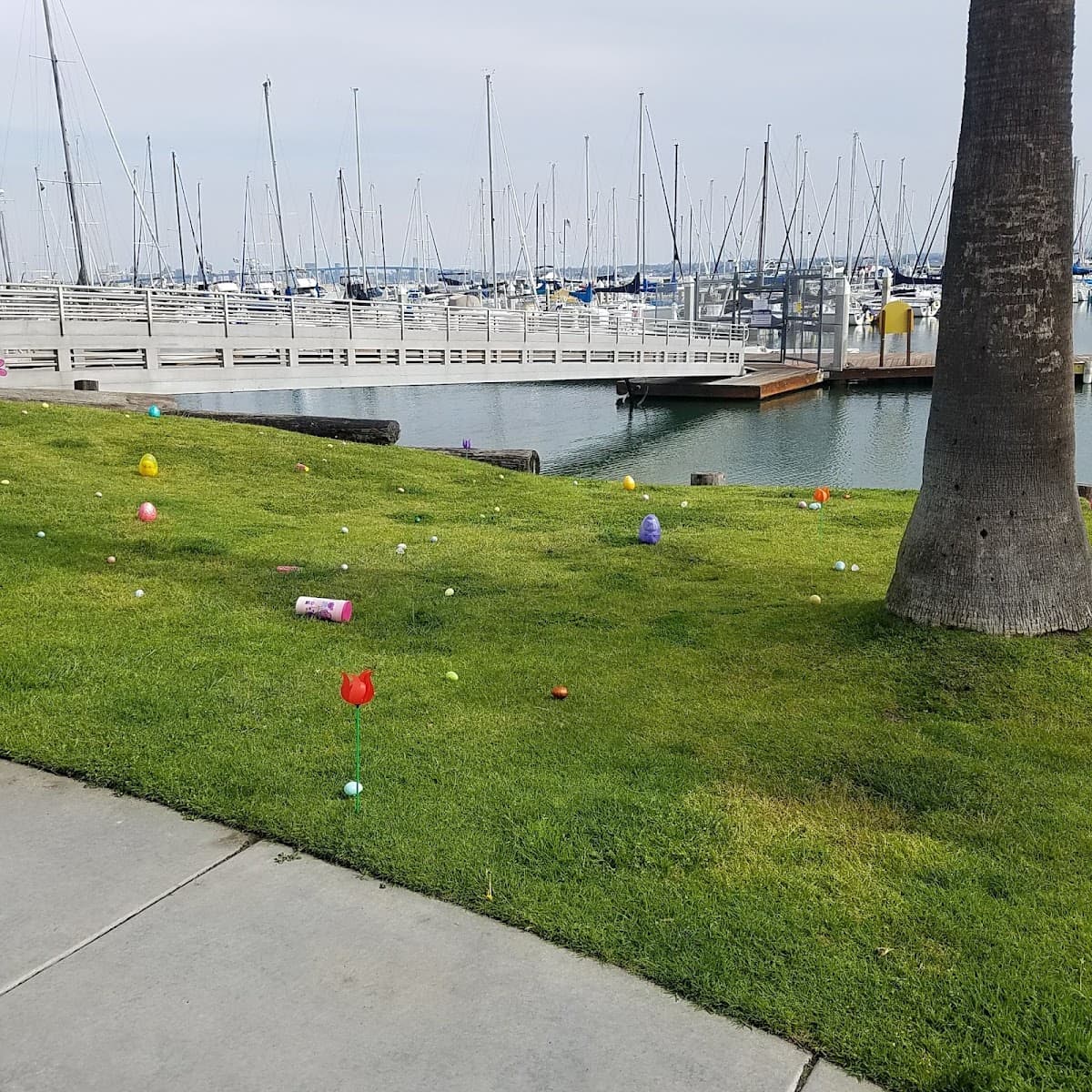 Fiddler's Cove Marina & RV Park (Navy MWR), Caravan Park in Coronado
