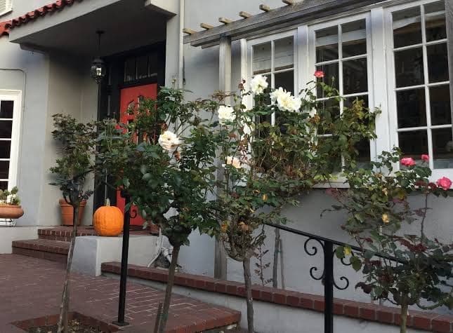 My Rosegarden Guest Rooms, Bed & Breakfast in Parkside