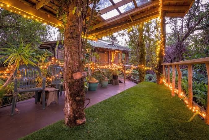Volcano treehouse, Bed & Breakfast in Fern Forest