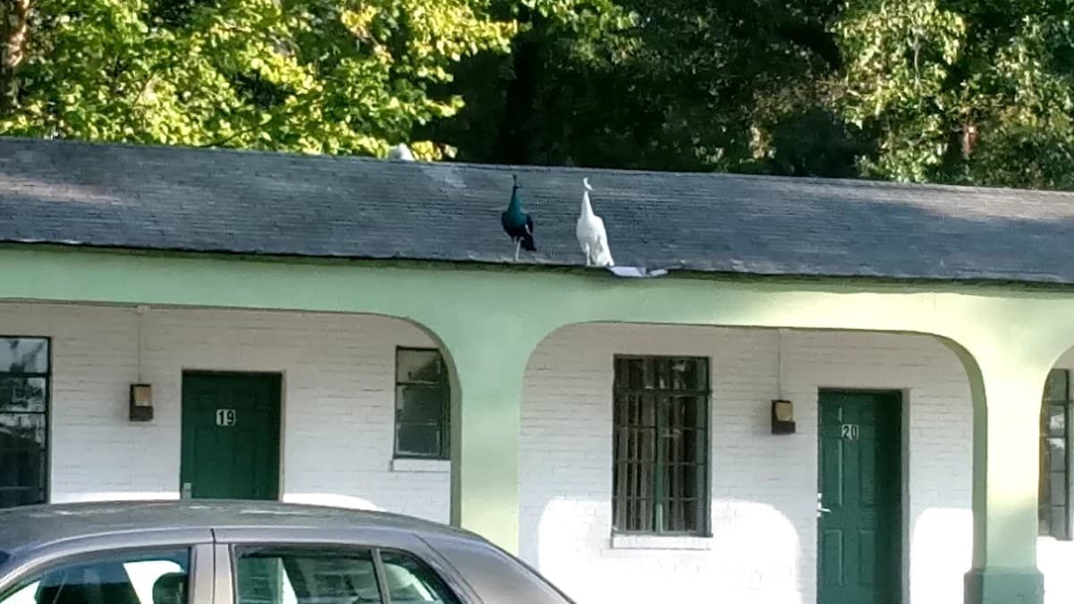 Friendly Inn, Motel in Walterboro