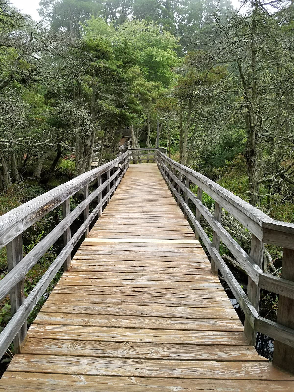 Deck 2 Condos, Hotel in Wellfleet