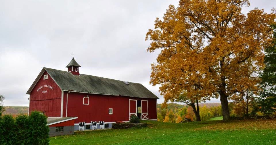 The Inn at Mount Pleasant, Bed & Breakfast in West Torrington