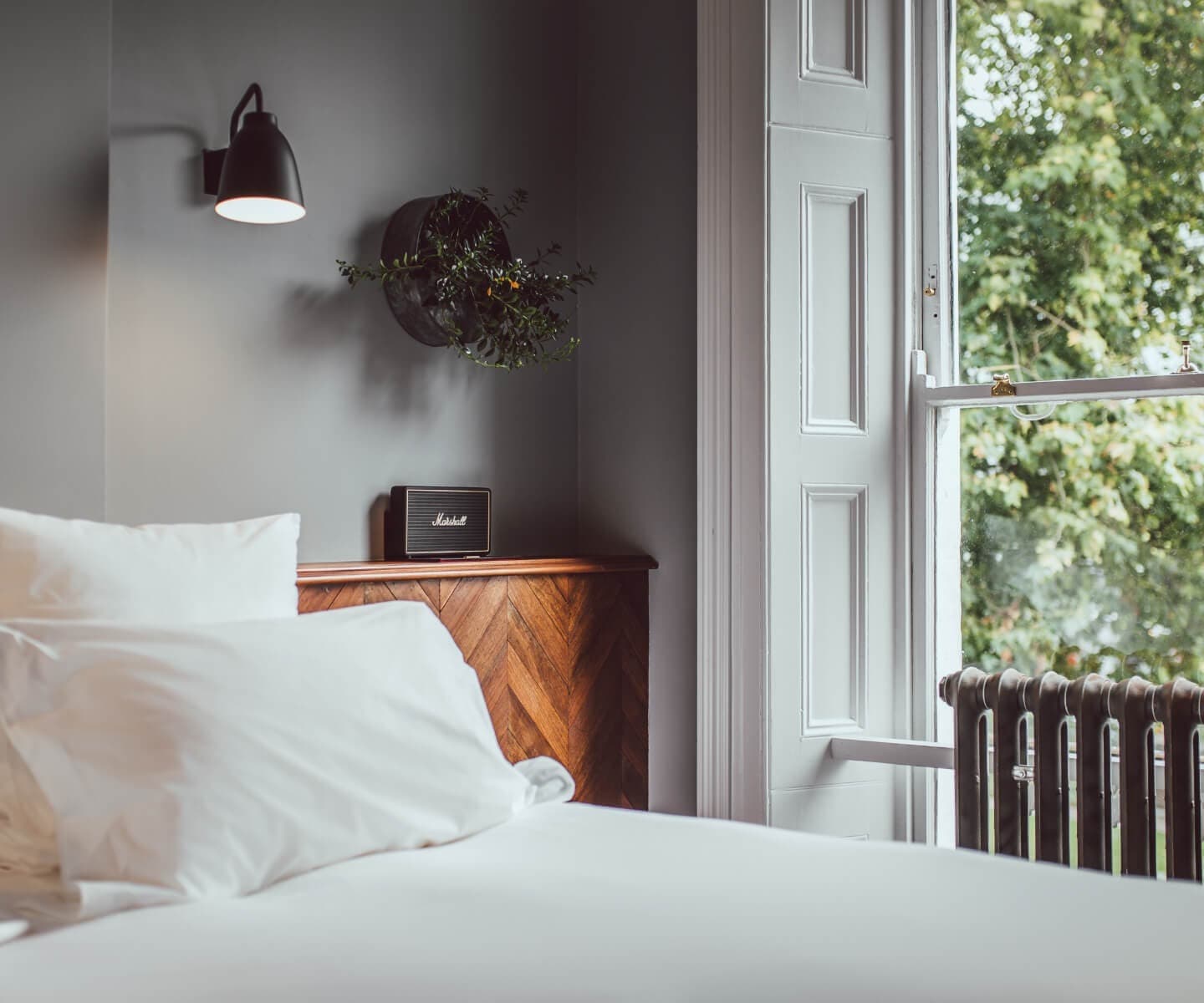 The Pilgrm Hotel Paddington, Hyde Park