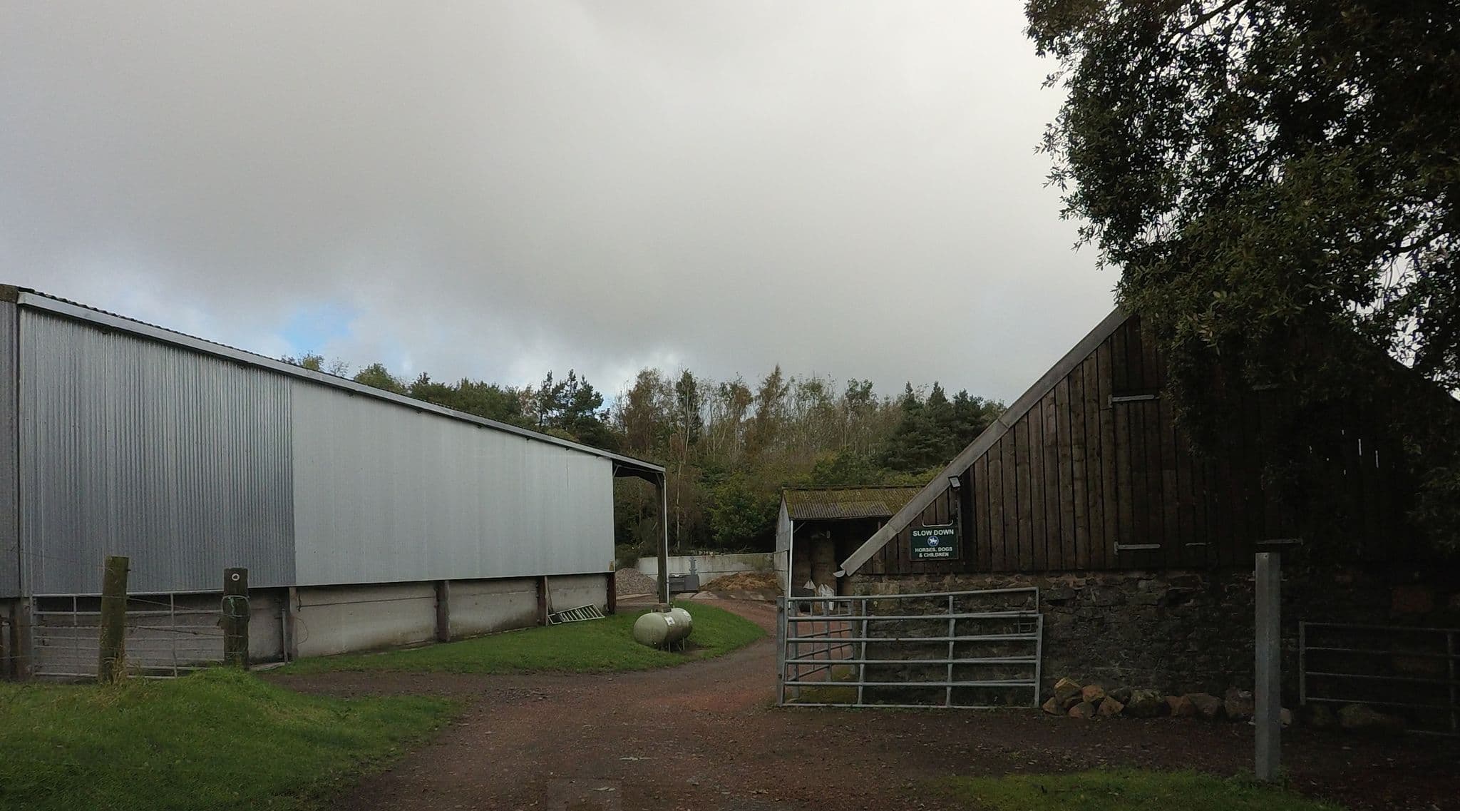 Street view near 3 Bed Lodge in St. Andrews, Balmullo — © hobgoblin (CC BY-SA · Mapillary)