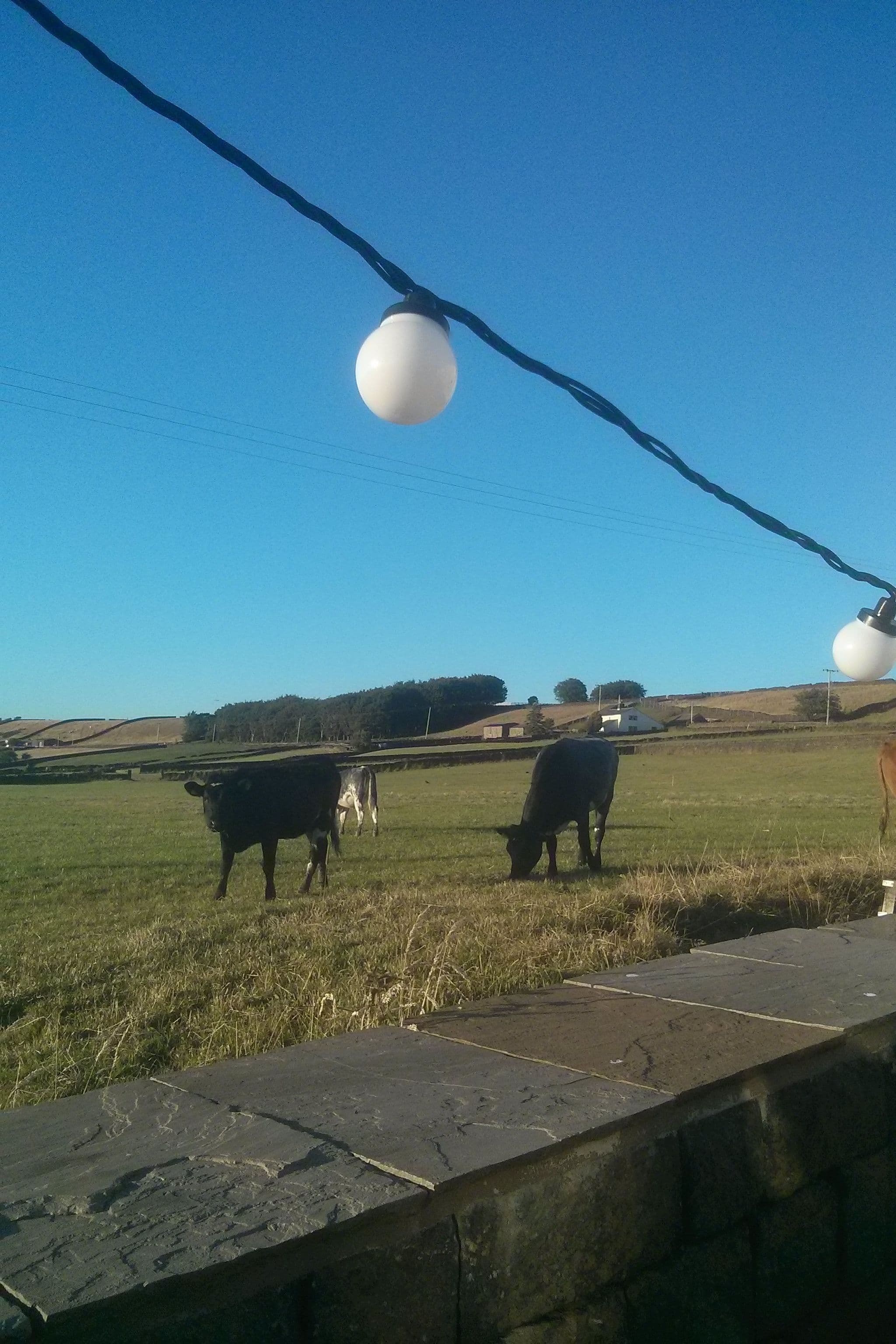 Street view near The Fleece Countryside Inn, Barkisland — © mapz4lolz (CC BY-SA · Mapillary)