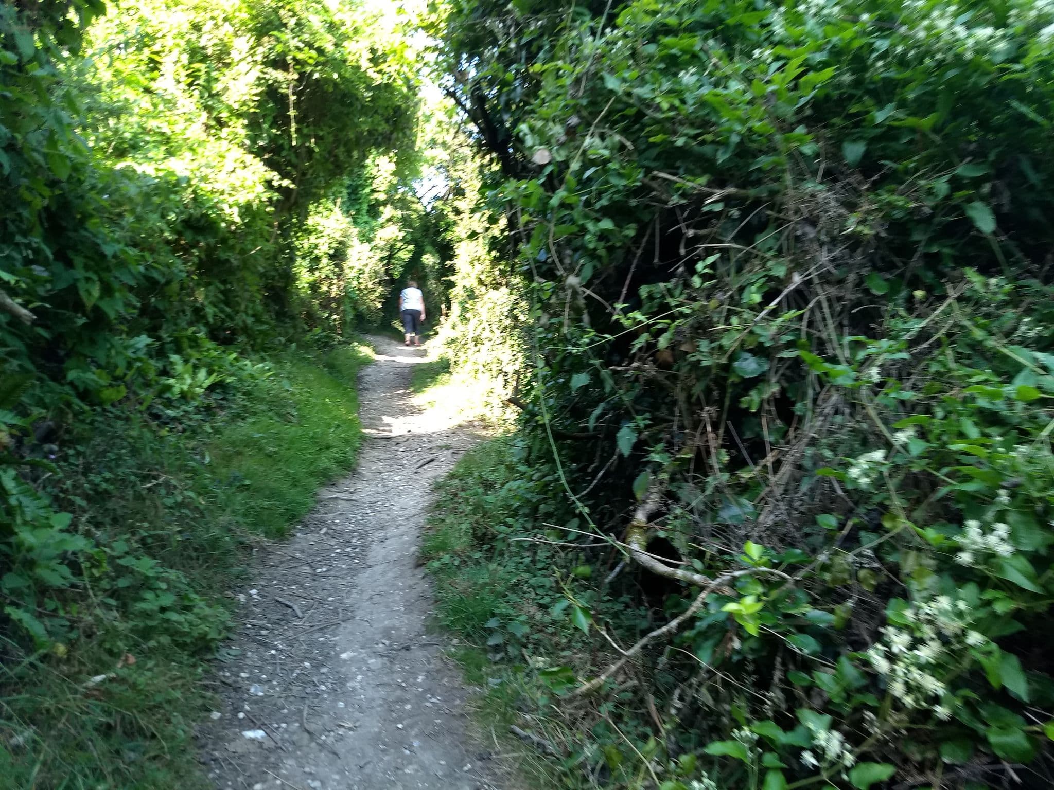 Street view near 2Bed-Cabin Sleeps 4 WiFi Free Parking Sea Views - Entire Place, Bembridge — © mappernerd (CC BY-SA · Mapillary)
