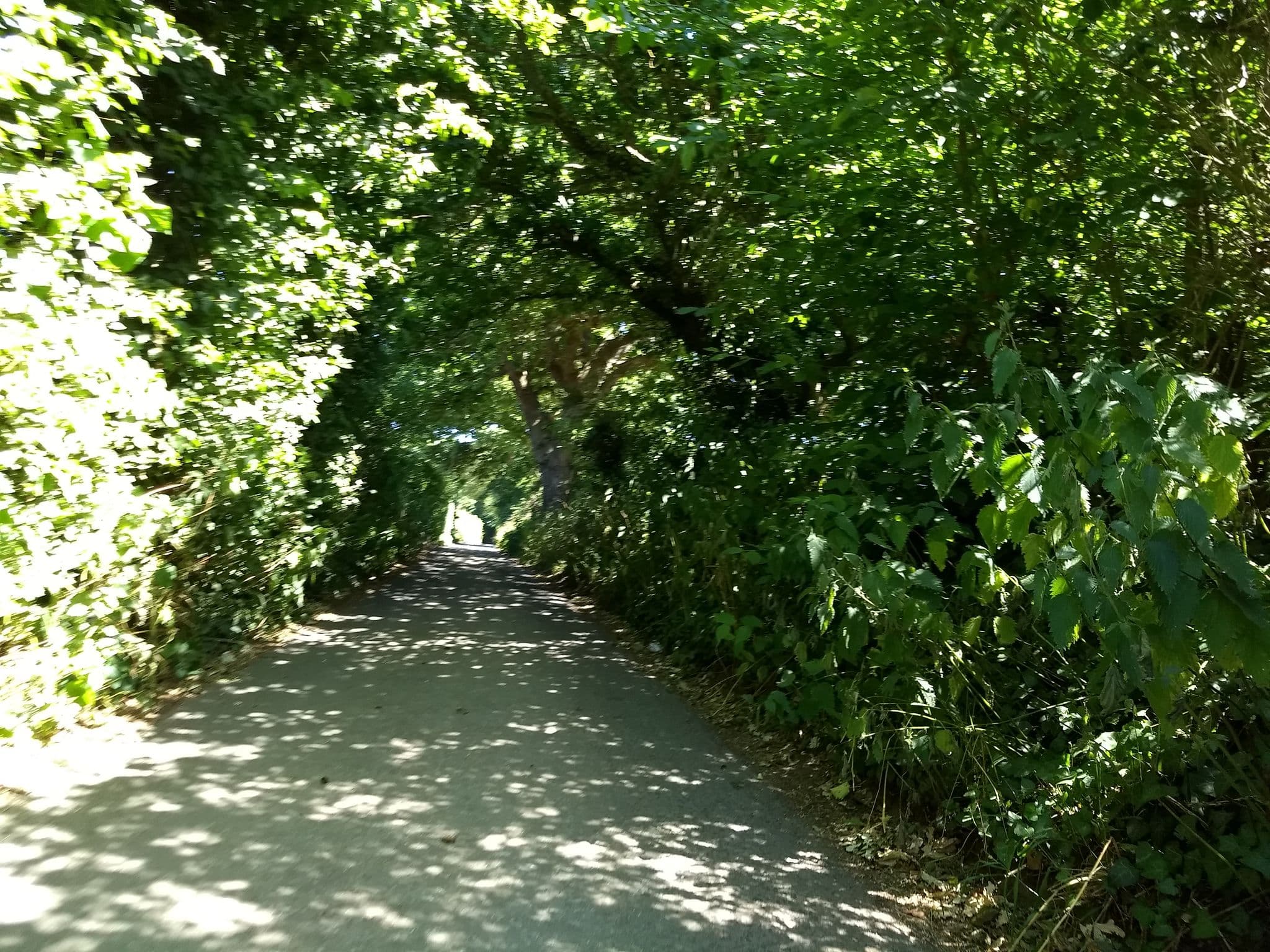 Street view near Clover Ridge, Seaview — © mappernerd (CC BY-SA · Mapillary)