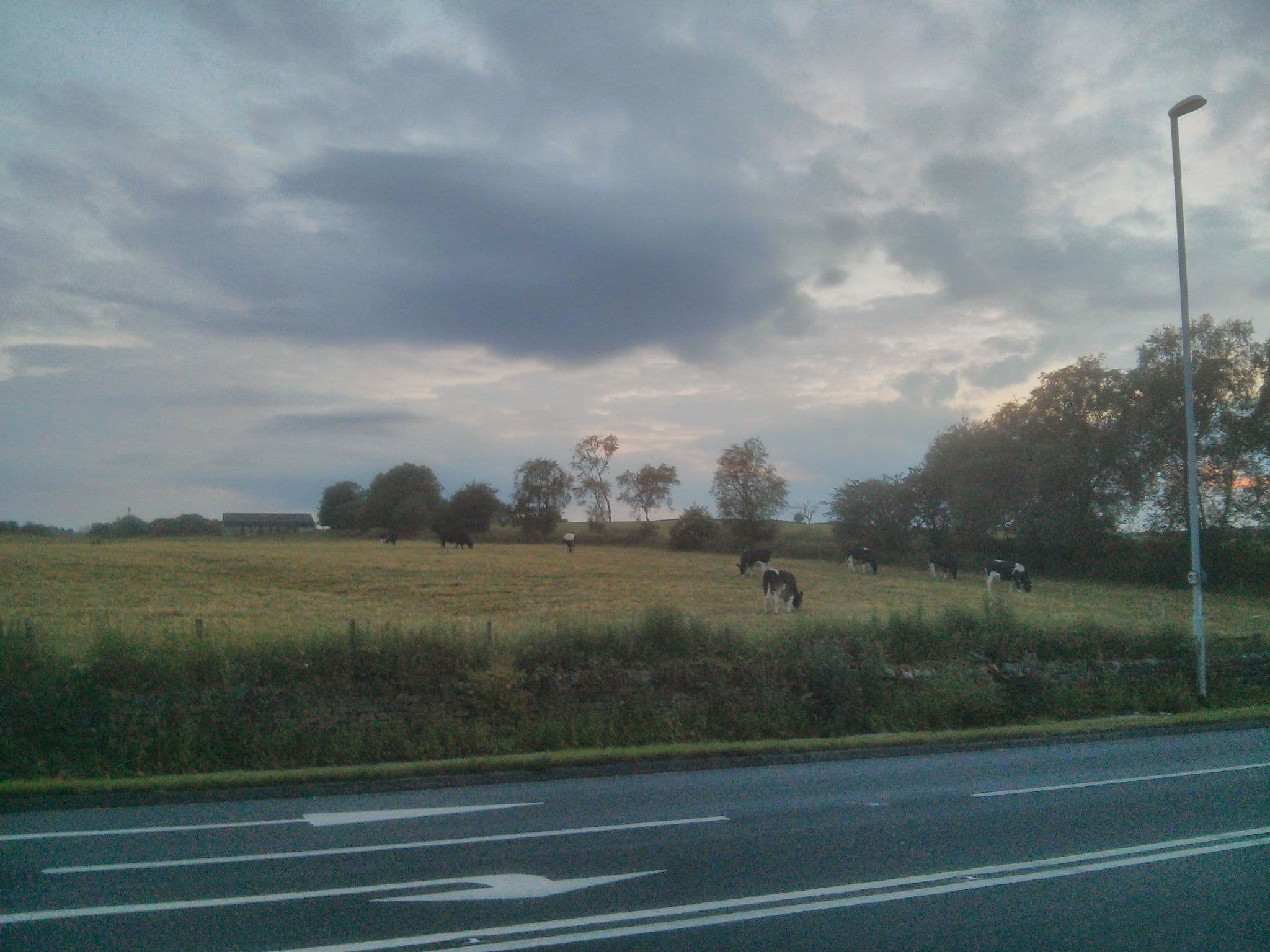 Street view near Leeds Road Parkway Hotel, Bramhope — © mapz4lolz (CC BY-SA · Mapillary)