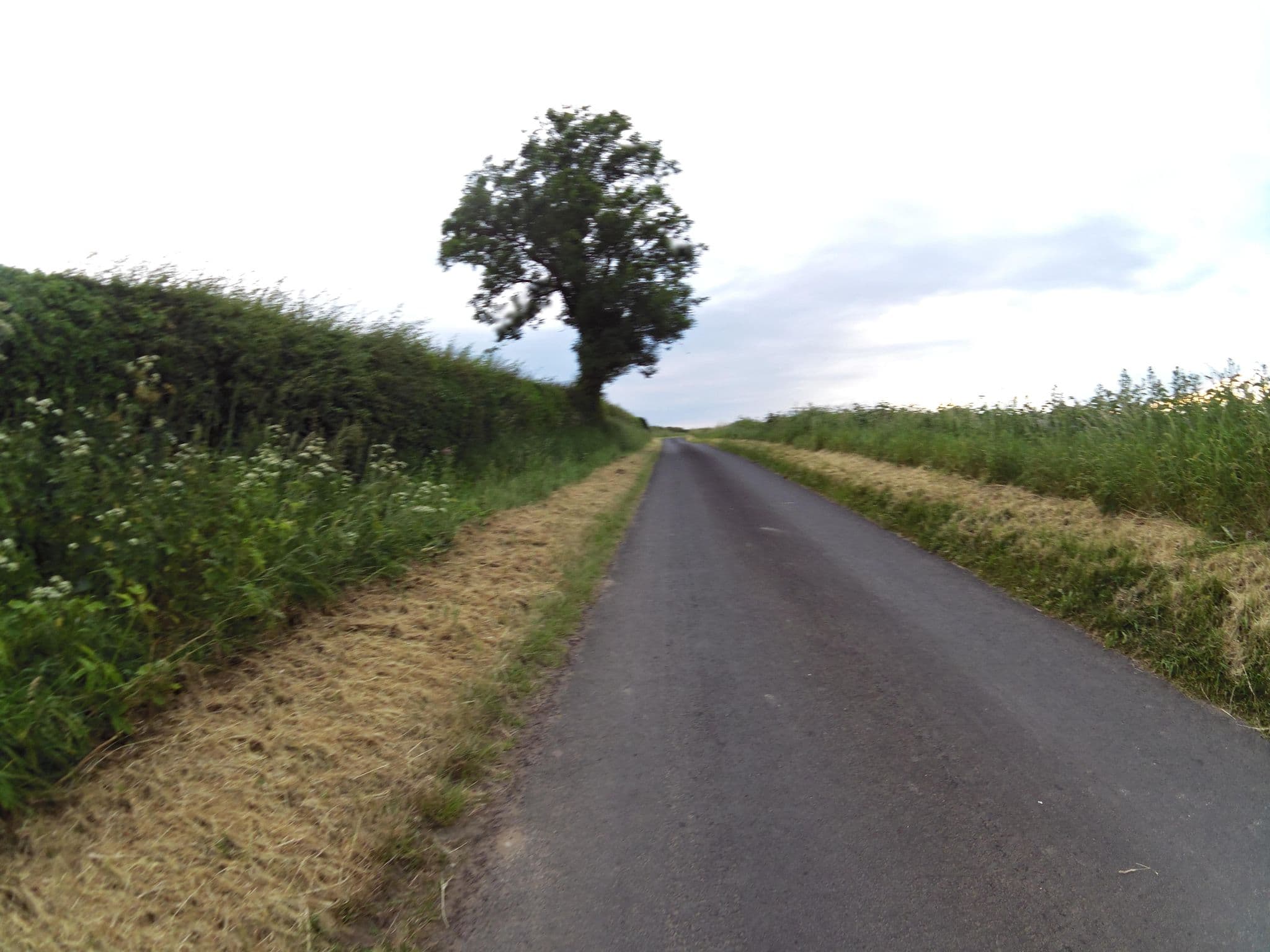 Street view near b, Bo’ness — © smsm1 (CC BY-SA · Mapillary)
