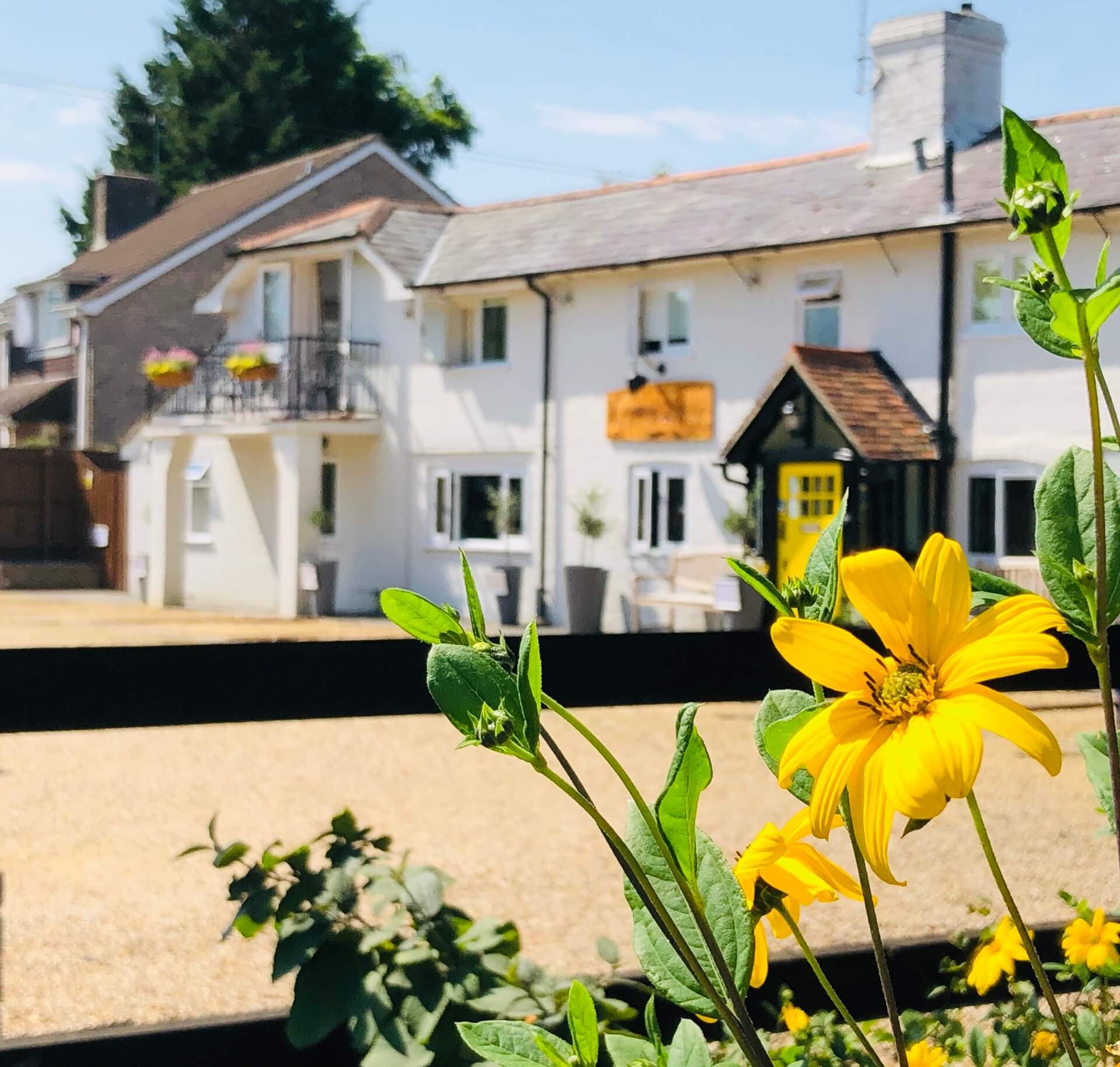 Cottage Lodge Hotel | Eco-chic Boutique Hotel in the heart of The New Forest, Brockenhurst