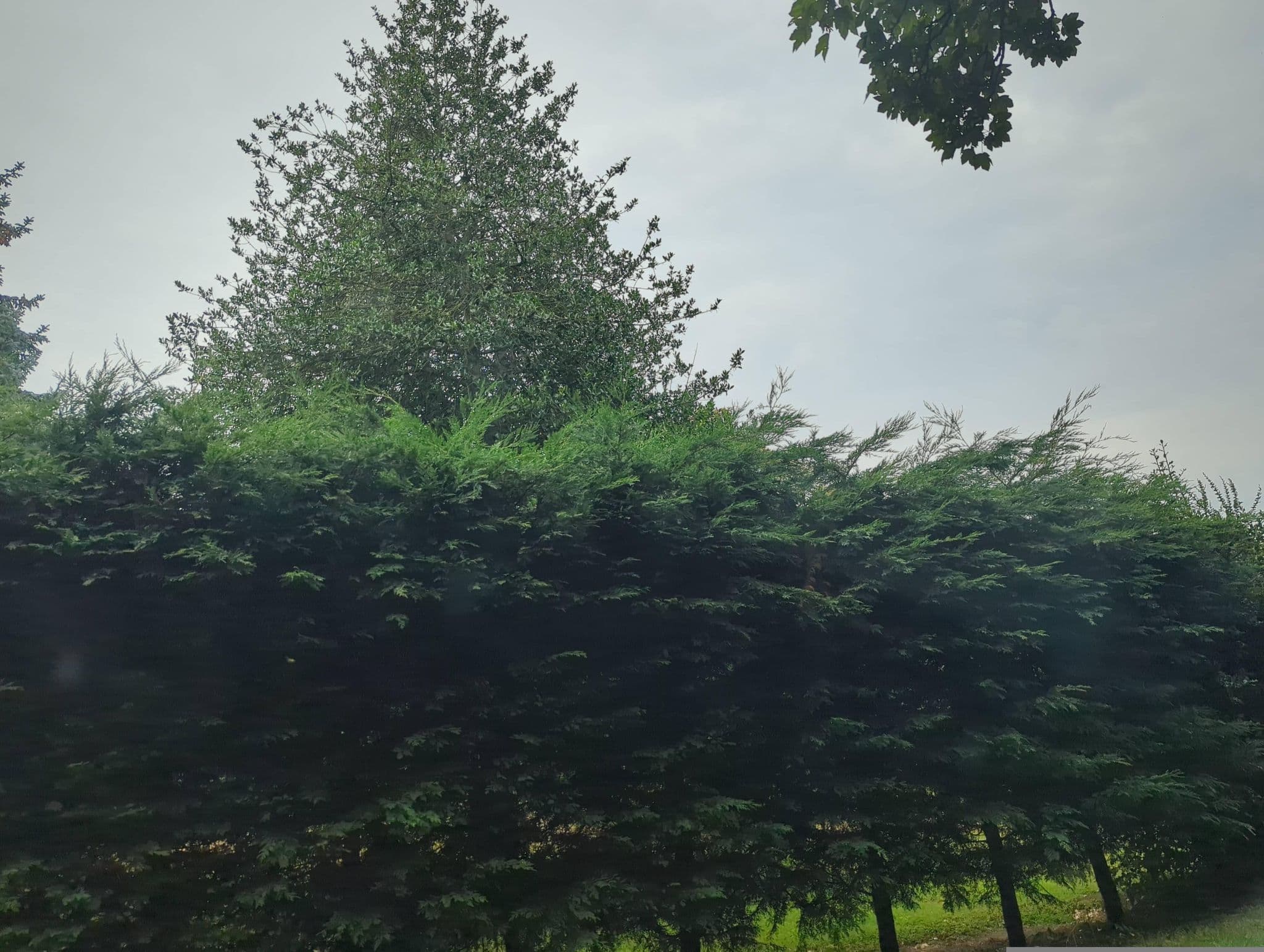 Street view near The Old Rectory, Holbrook — © IpswichEdits (CC BY-SA · Mapillary)