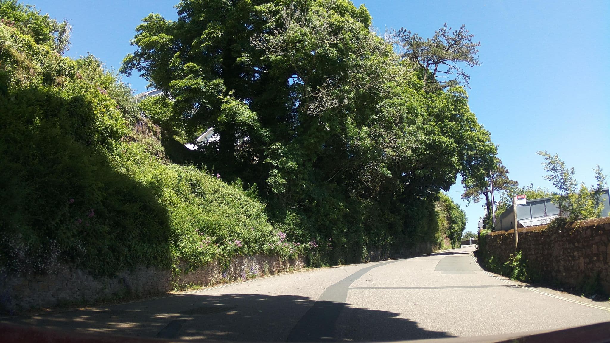 Street view near Harbour Heights, Dartmouth — © southglos (CC BY-SA · Mapillary)