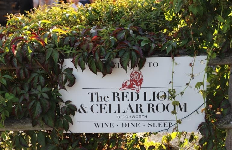 The Red Lion & Cellar Room, Reigate