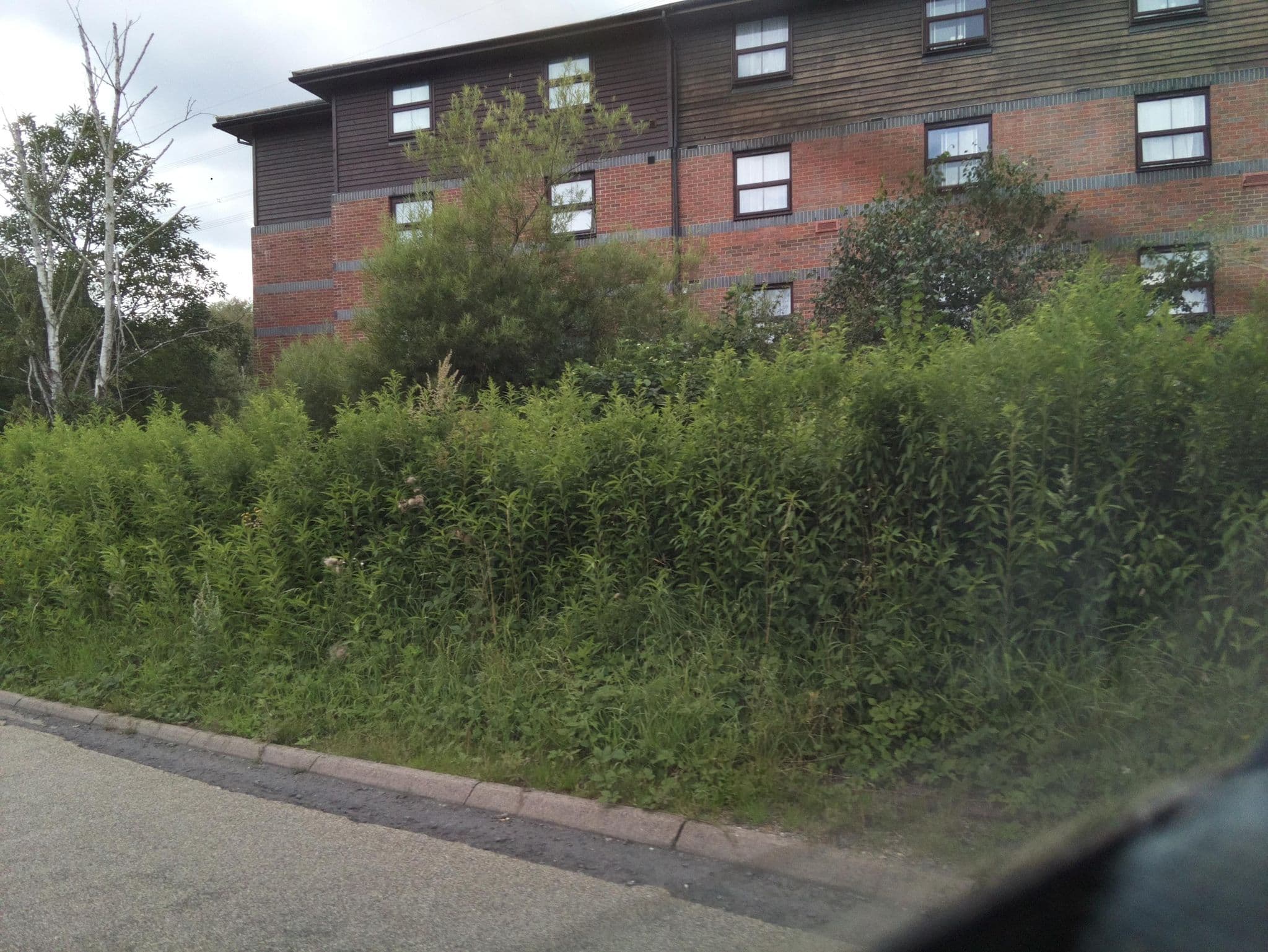 Street view near Premier Inn Southampton (Eastleigh) hotel, Eastleigh — © southglos (CC BY-SA · Mapillary)