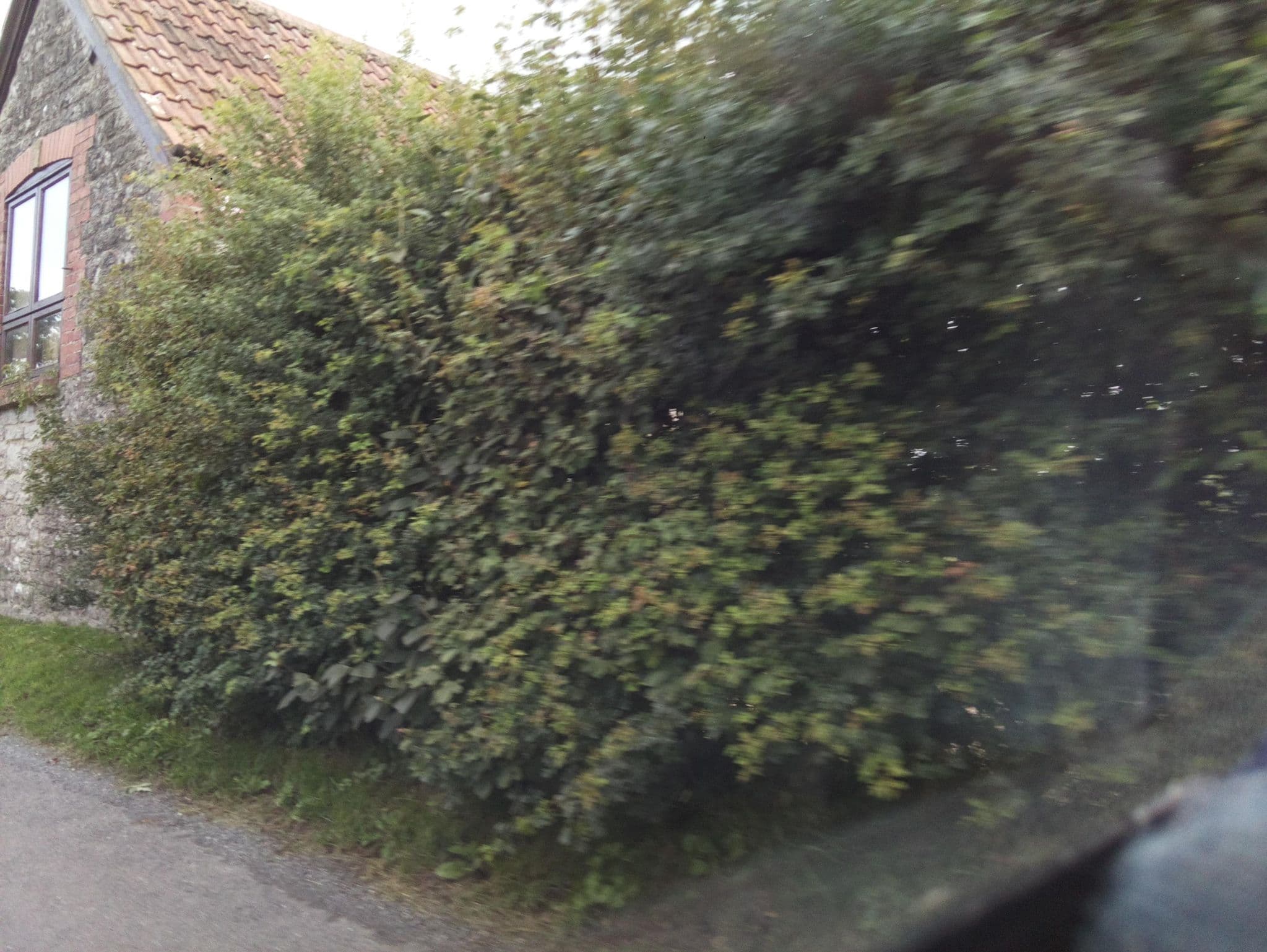 Street view near Red Tiles Barn, Evercreech — © southglos (CC BY-SA · Mapillary)