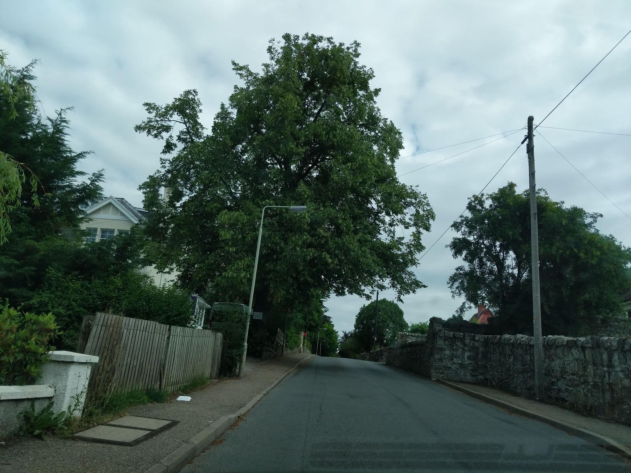 Street view near Ardenbeg Guest House, Grantown on Spey — © ccbb7766 (CC BY-SA · Mapillary)