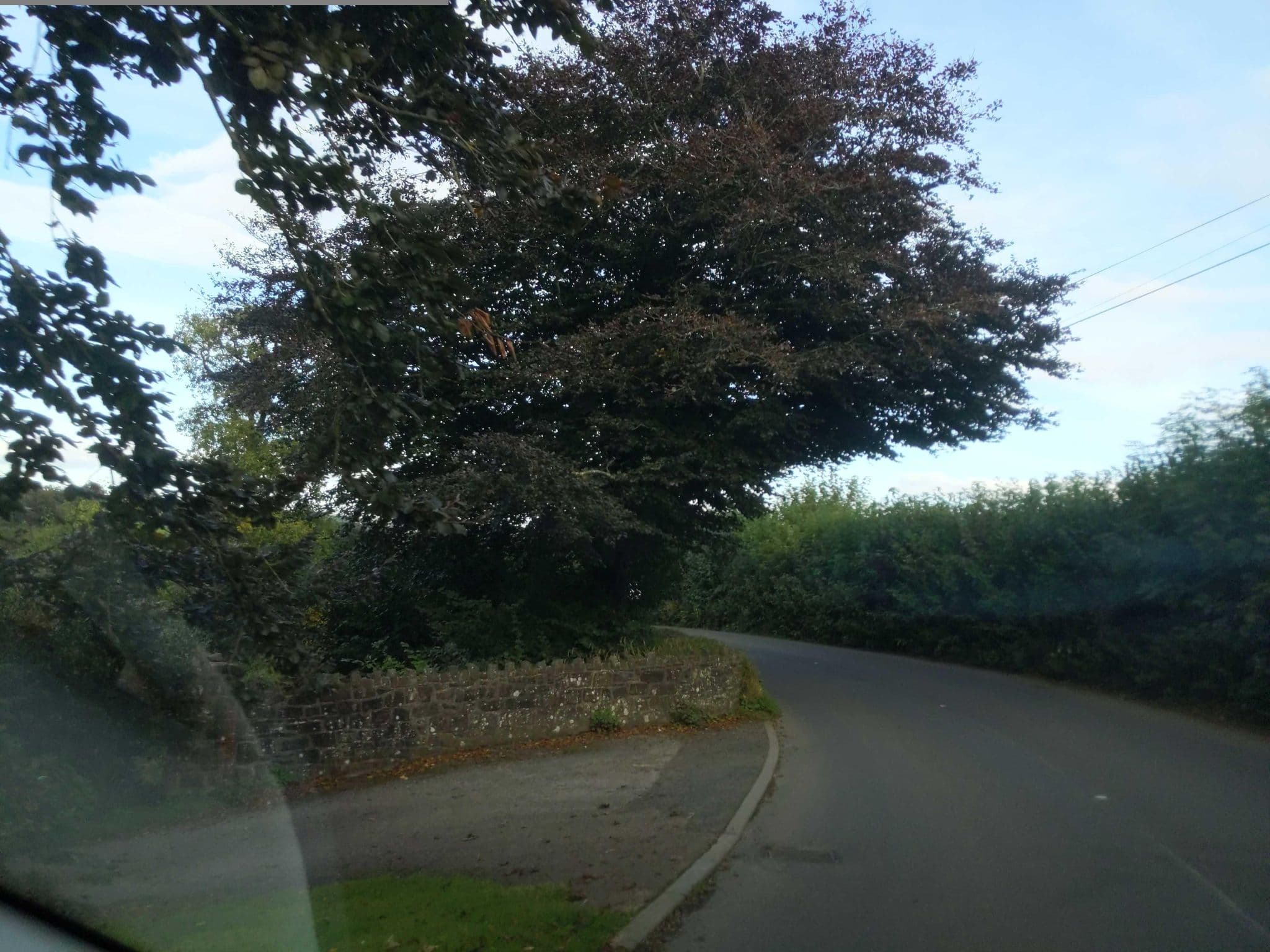 Street view near Frizenham Farmhouse B&B, Great Torrington — © WaggyDog (CC BY-SA · Mapillary)