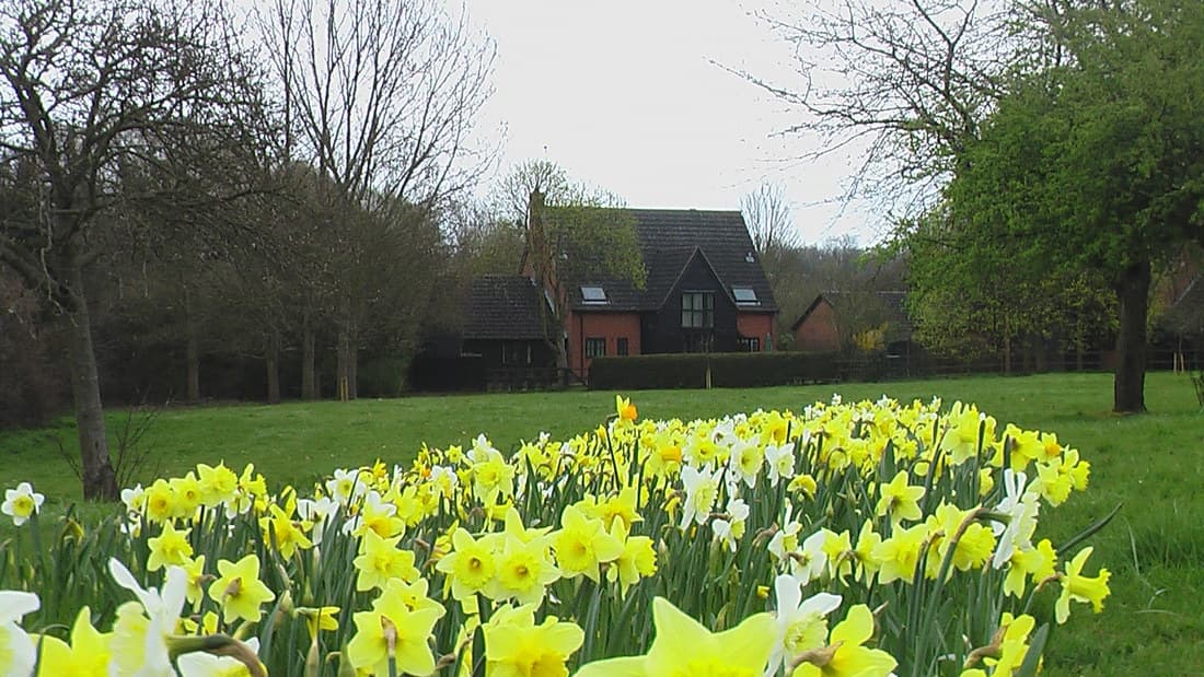 Springbank Bed and Breakfast, Haverhill