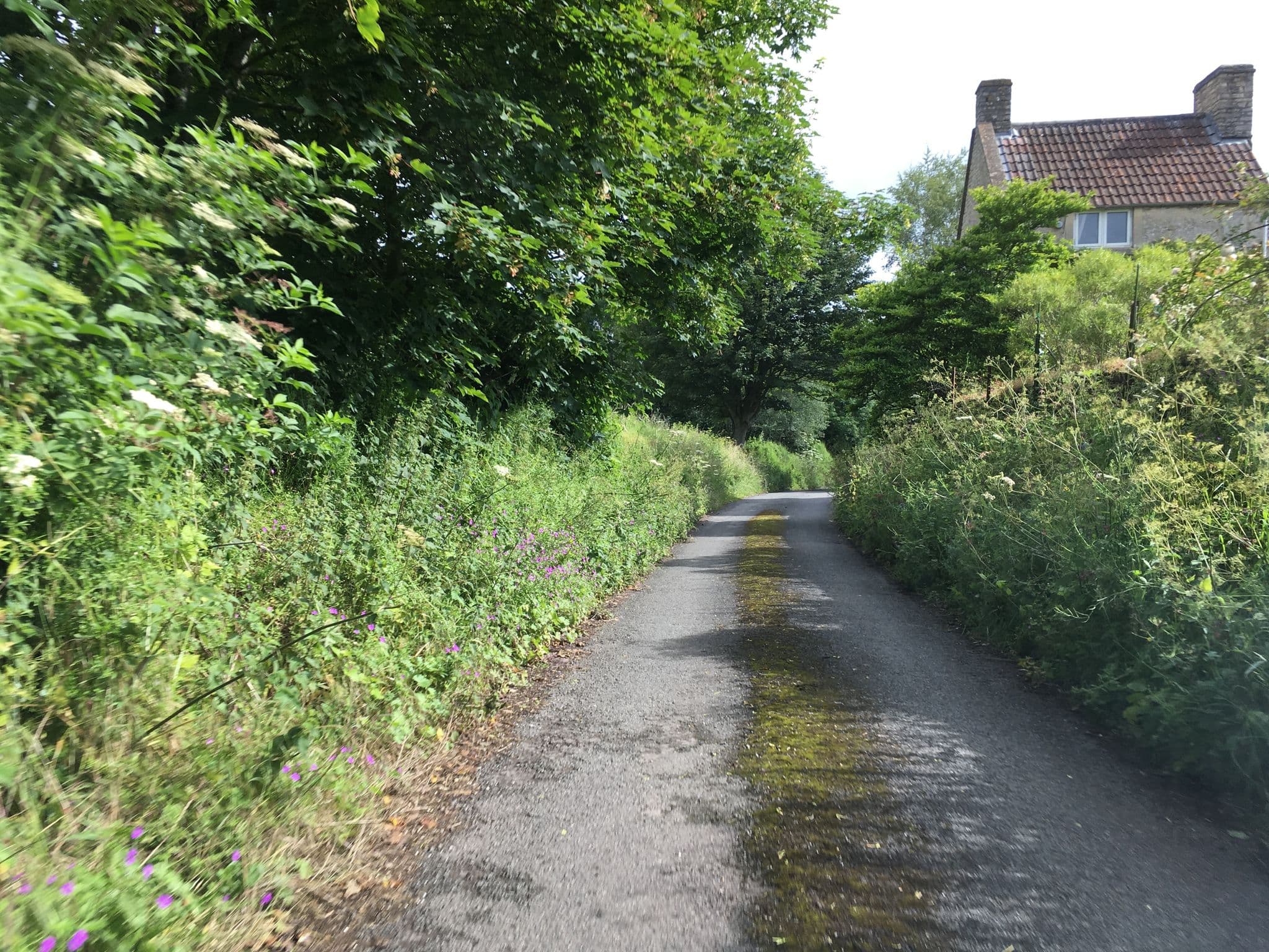 Street view near Old Hundred Coach House, Hinton — © southglos (CC BY-SA · Mapillary)