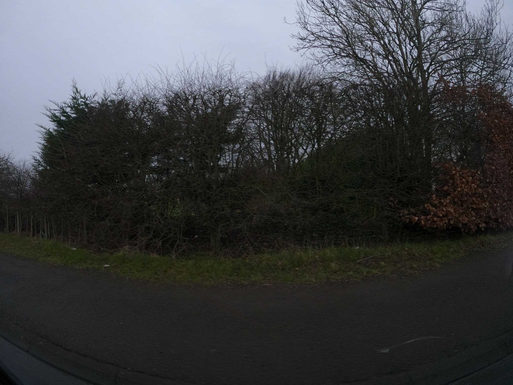 Street view near Turfhills House Bed & Breakfast, Kinross — © hobgoblin (CC BY-SA · Mapillary)