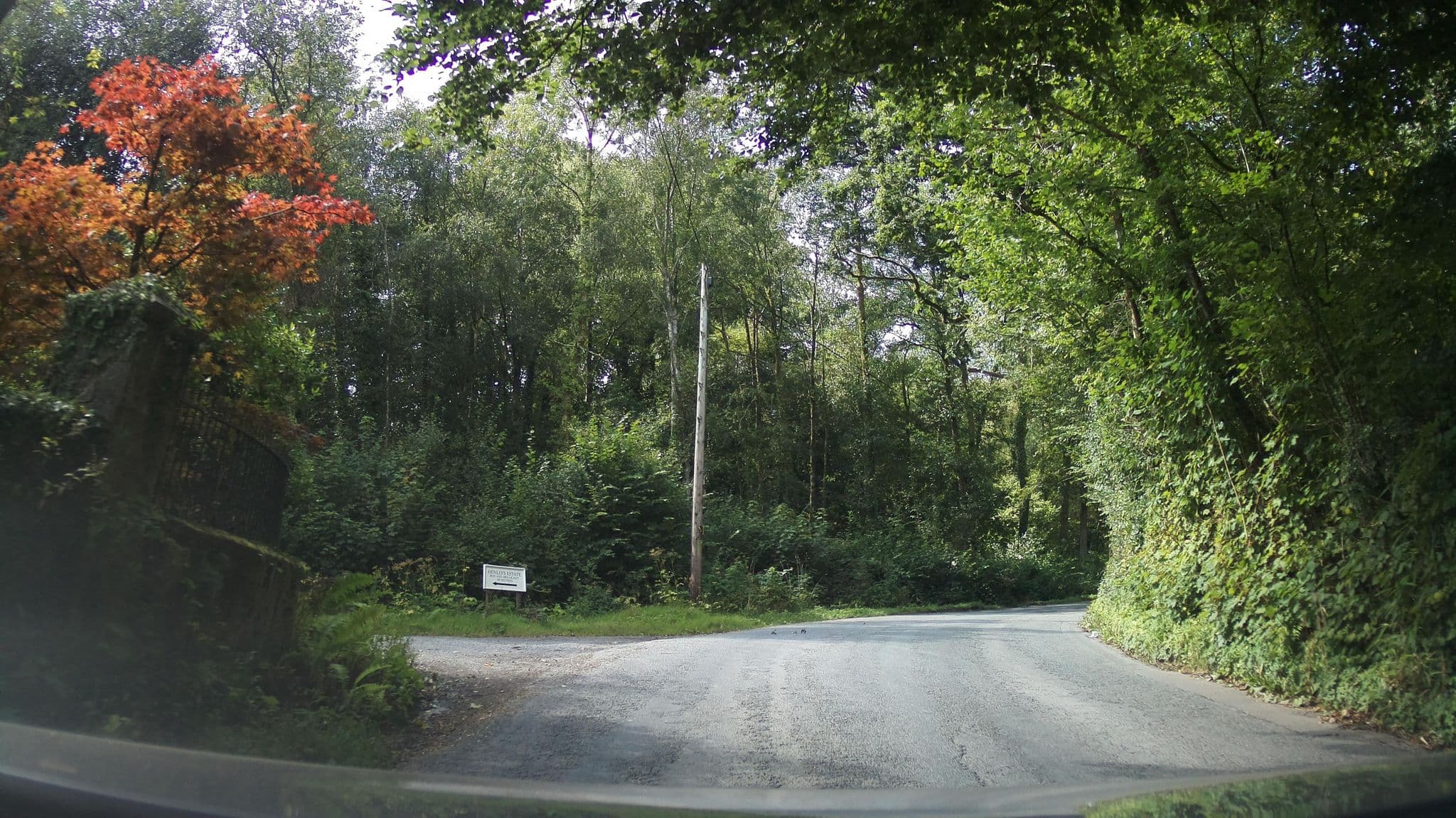 Street view near Henllys Lodge, Llandovery — © southglos (CC BY-SA · Mapillary)