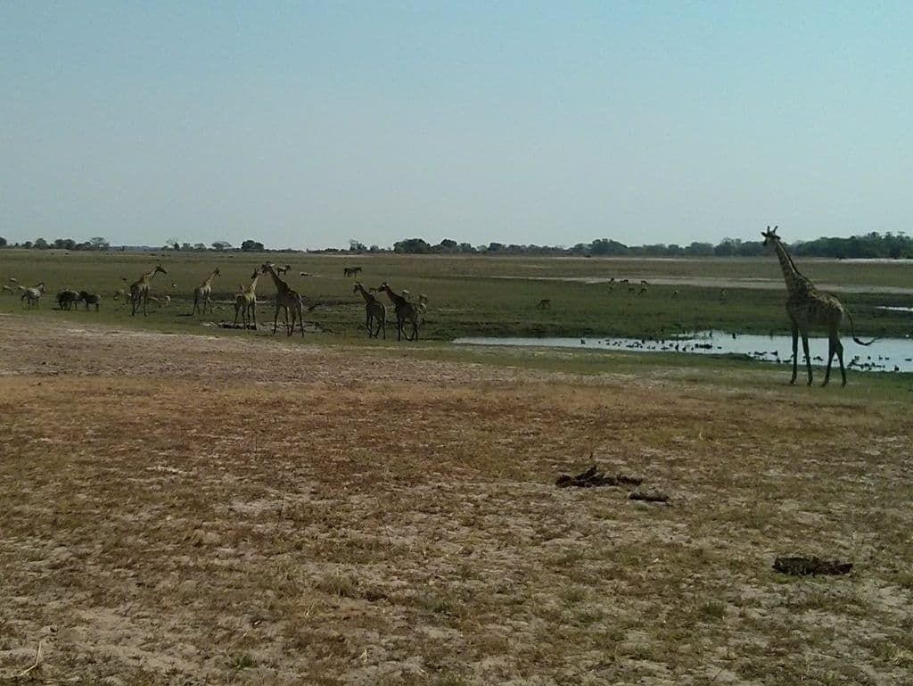 Street view near HATAB Camp, Kasane — © janvanbekkum (CC BY-SA · Mapillary)