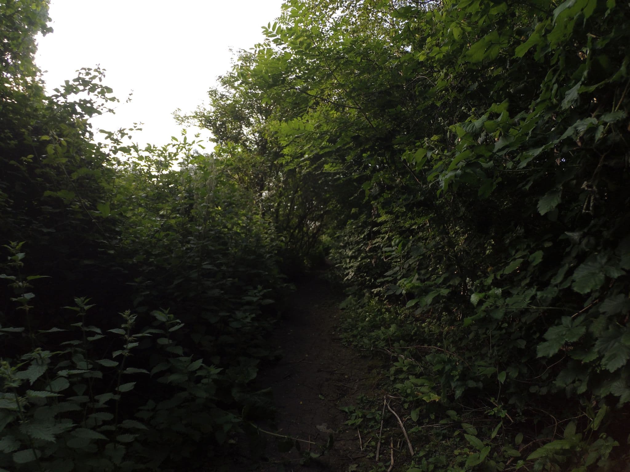 Street view near Premier Inn Rugby North (Newbold) hotel, Rugby — © gness (CC BY-SA · Mapillary)