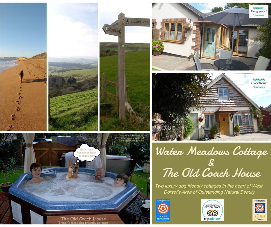 Water Meadows Cottage, Maiden Newton
