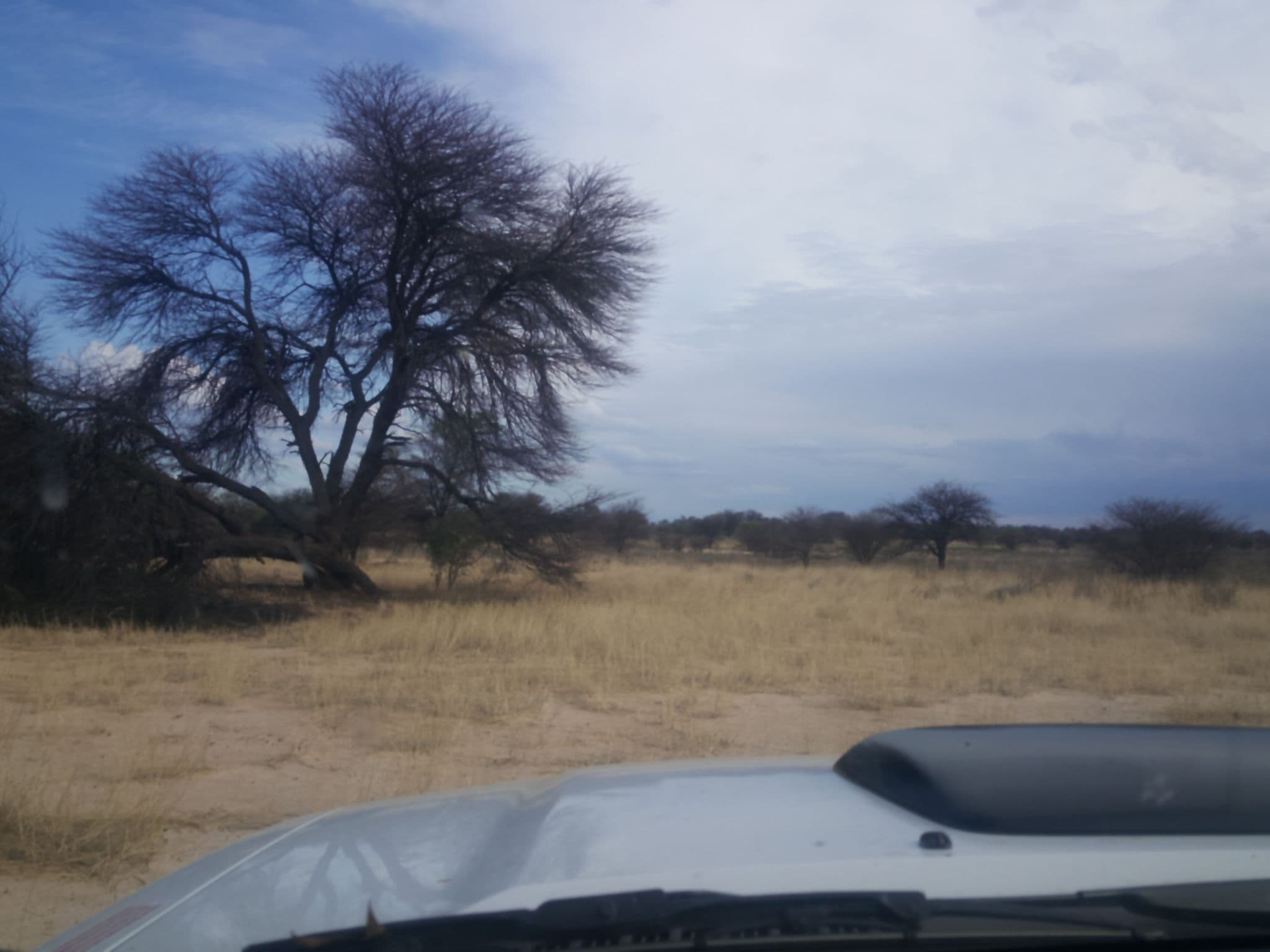 Street view near Sesatswe, Lokwabe — © renade (CC BY-SA · Mapillary)