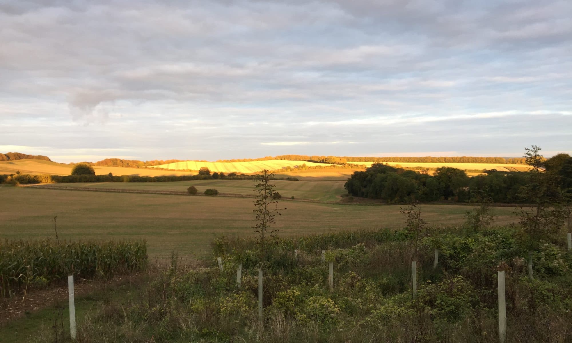 Buckholt Stables, Middle Winterslow