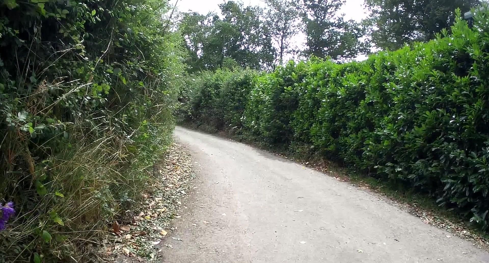 Street view near Hampshire Hills, Four Marks — © jpennycook (CC BY-SA · Mapillary)