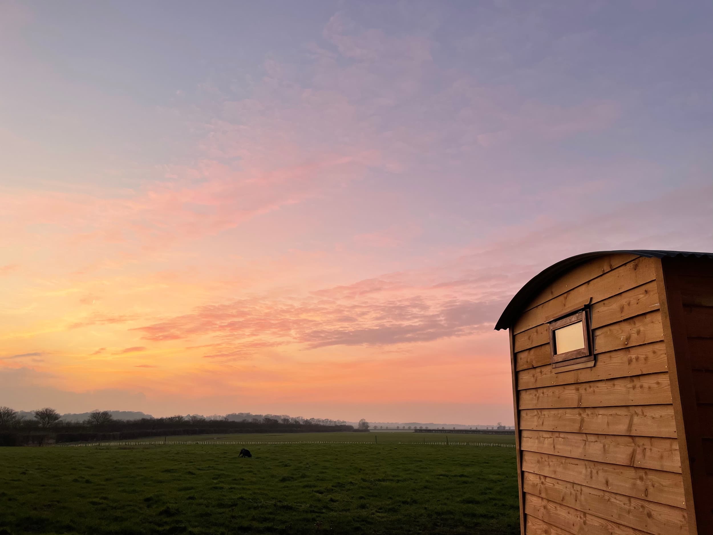 The Shepherds Retreat, Patrington