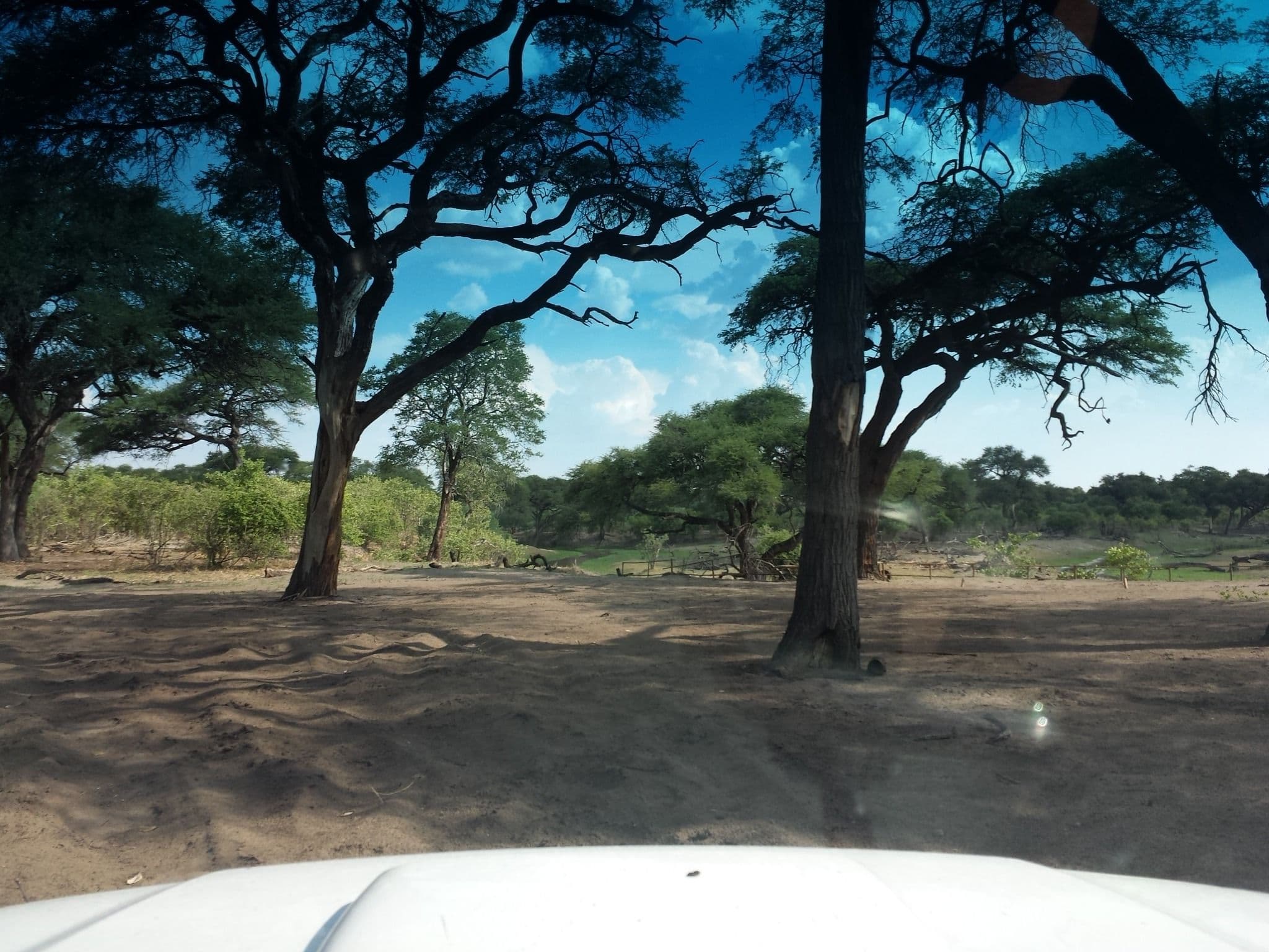 Street view near Tshaa Campsite 5, Maun