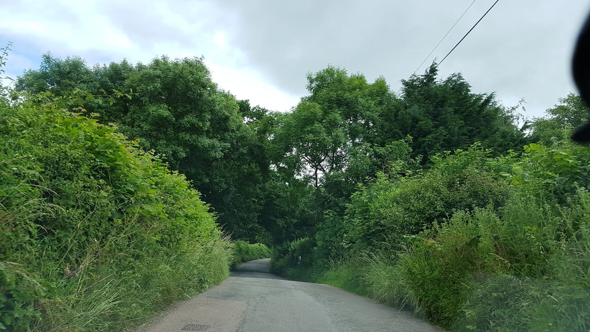 Street view near Cromwell's Hideaway, Raglan — © richardc (CC BY-SA · Mapillary)