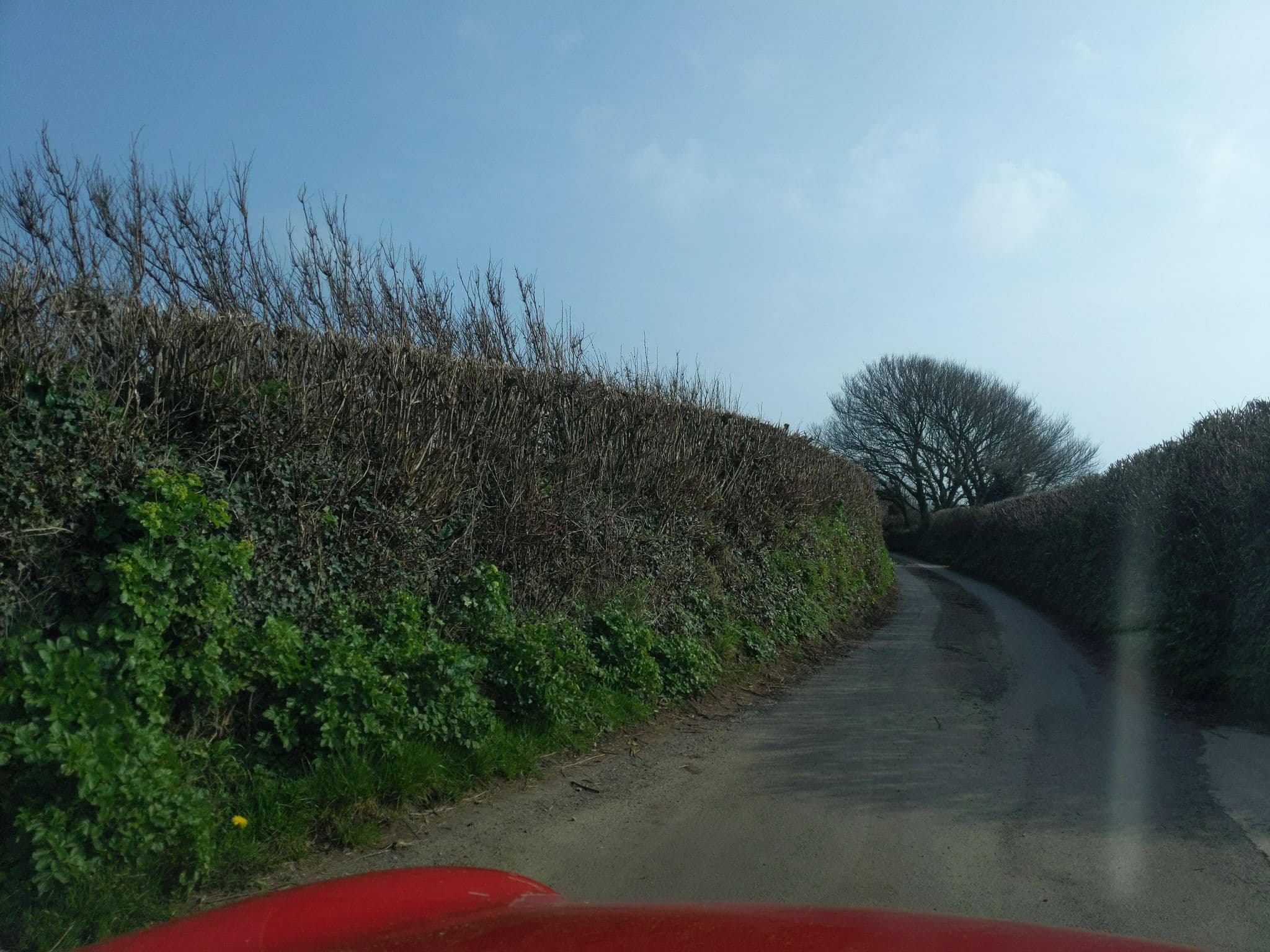 Street view near Wilton Farm Camping South Devon, Salcombe — © WaggyDog (CC BY-SA · Mapillary)