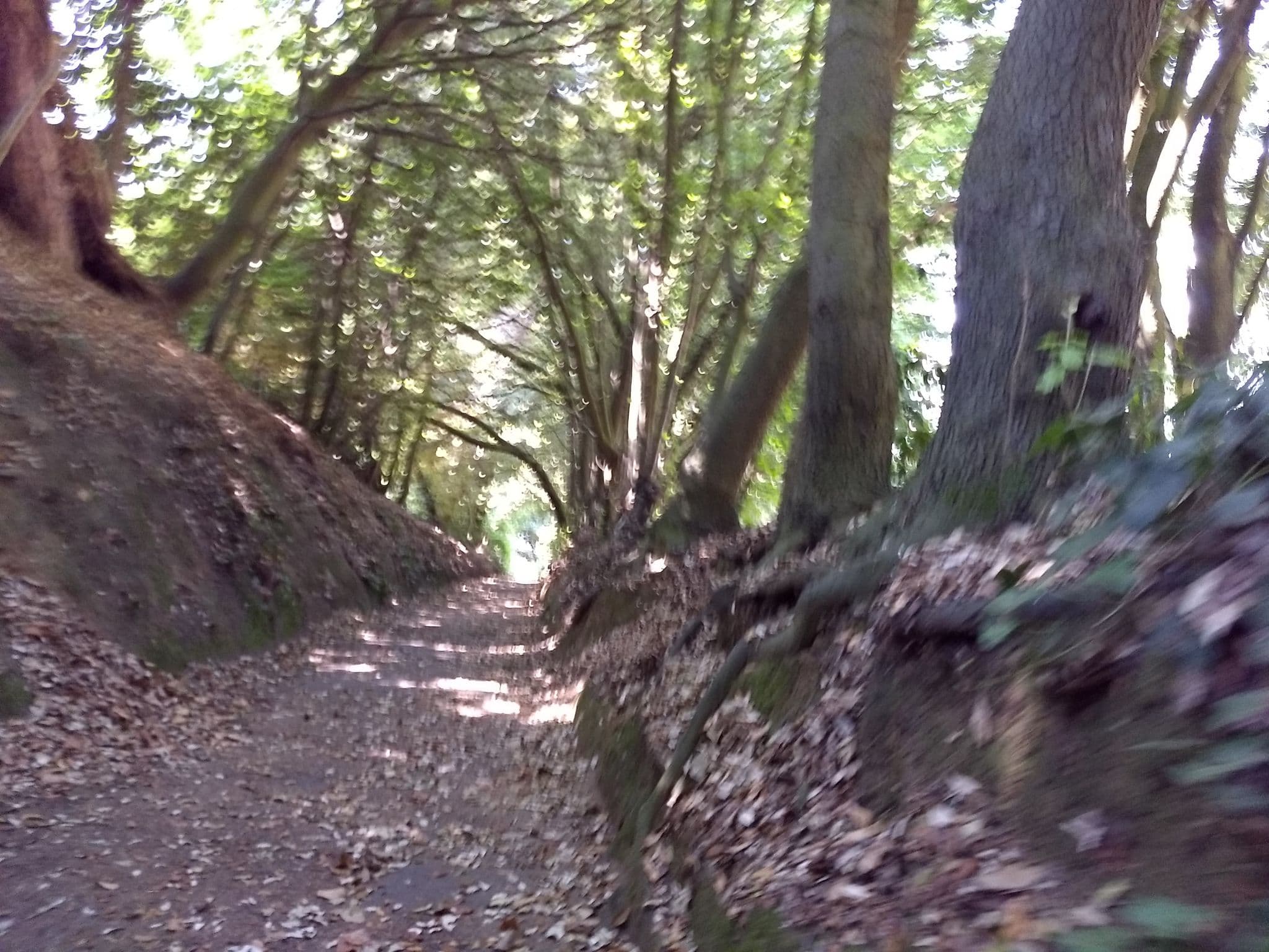 Street view near The Caledonian Island Hotel (Formerly Broadway Park Hotel), Sandown — © mappernerd (CC BY-SA · Mapillary)