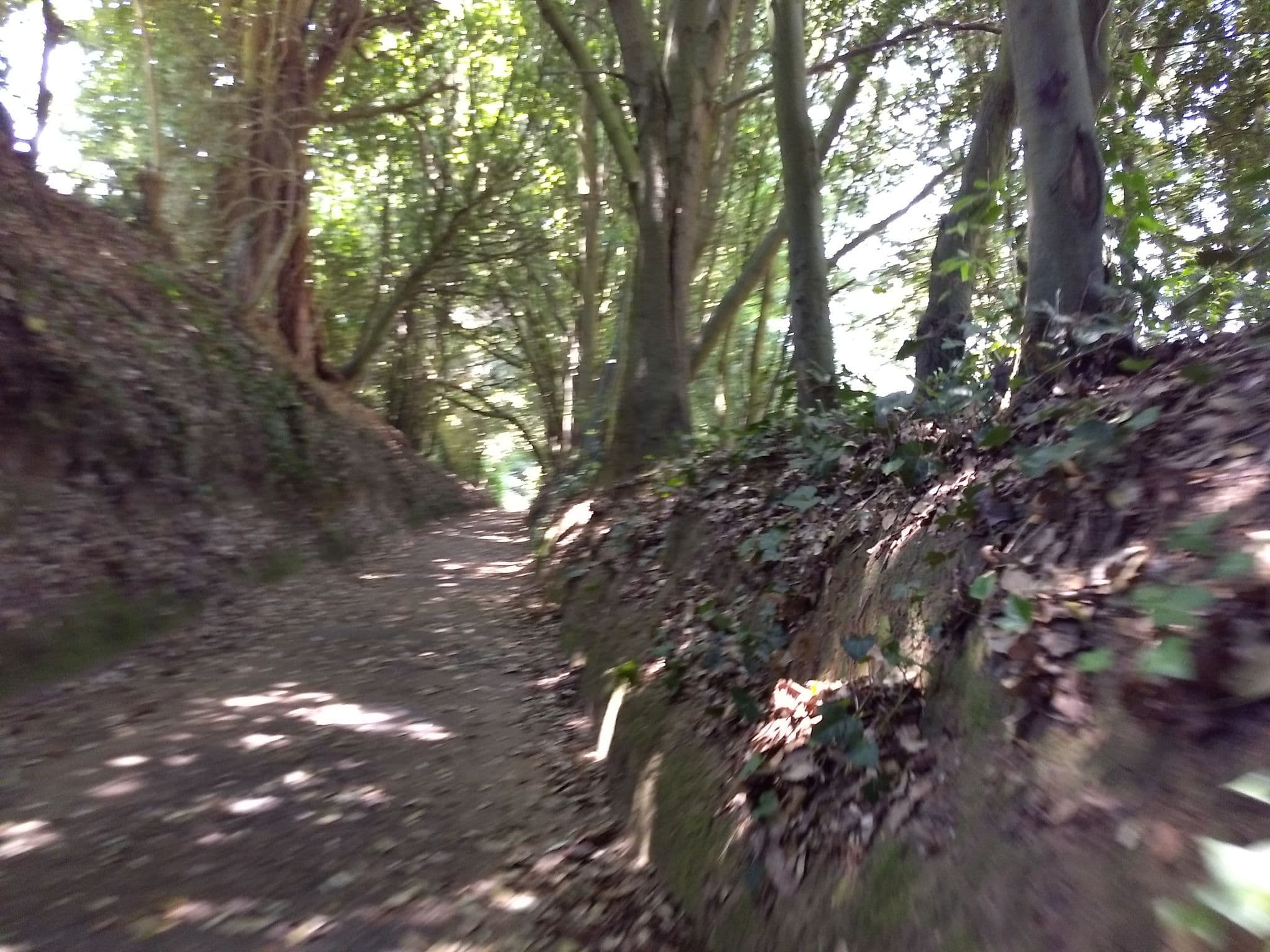 Street view near The Broadway Park Hotel, Sandown — © mappernerd (CC BY-SA · Mapillary)