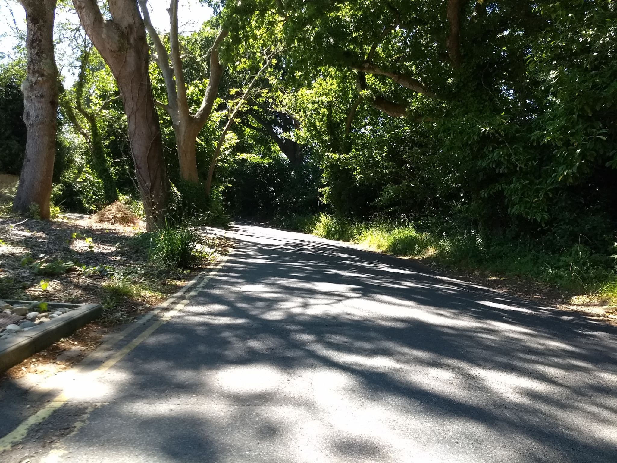 Street view near 4 Bed in Seaview oc-s29987 - Entire Place, Seaview — © mappernerd (CC BY-SA · Mapillary)
