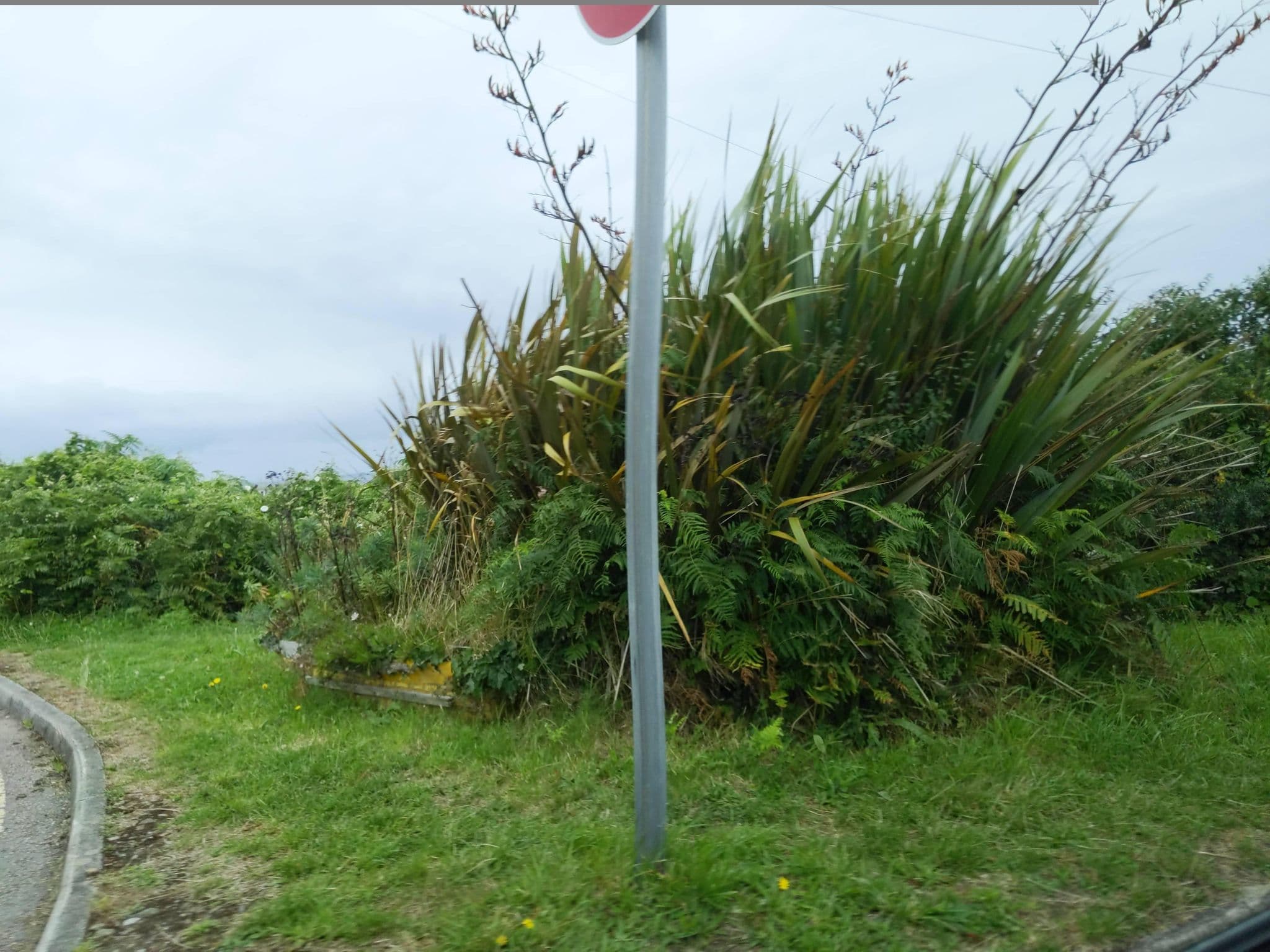 Street view near Uno St Ives, St Ives — © WaggyDog (CC BY-SA · Mapillary)