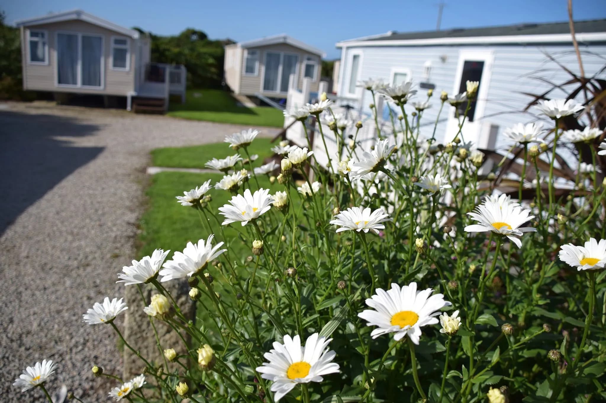 Roselands Caravan Camping Park Cornwall, St Just