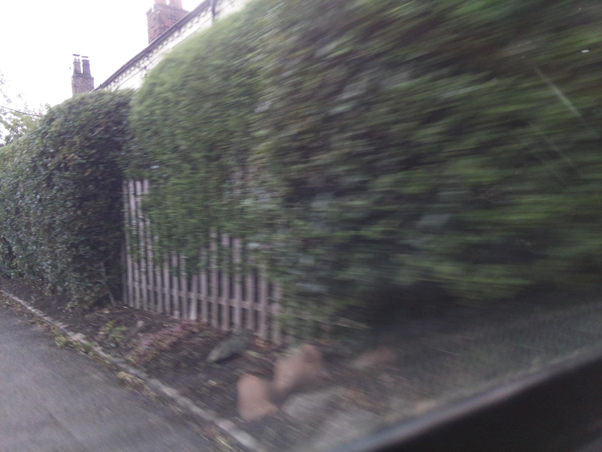Street view near Home Farm B & B, Standon — © southglos (CC BY-SA · Mapillary)