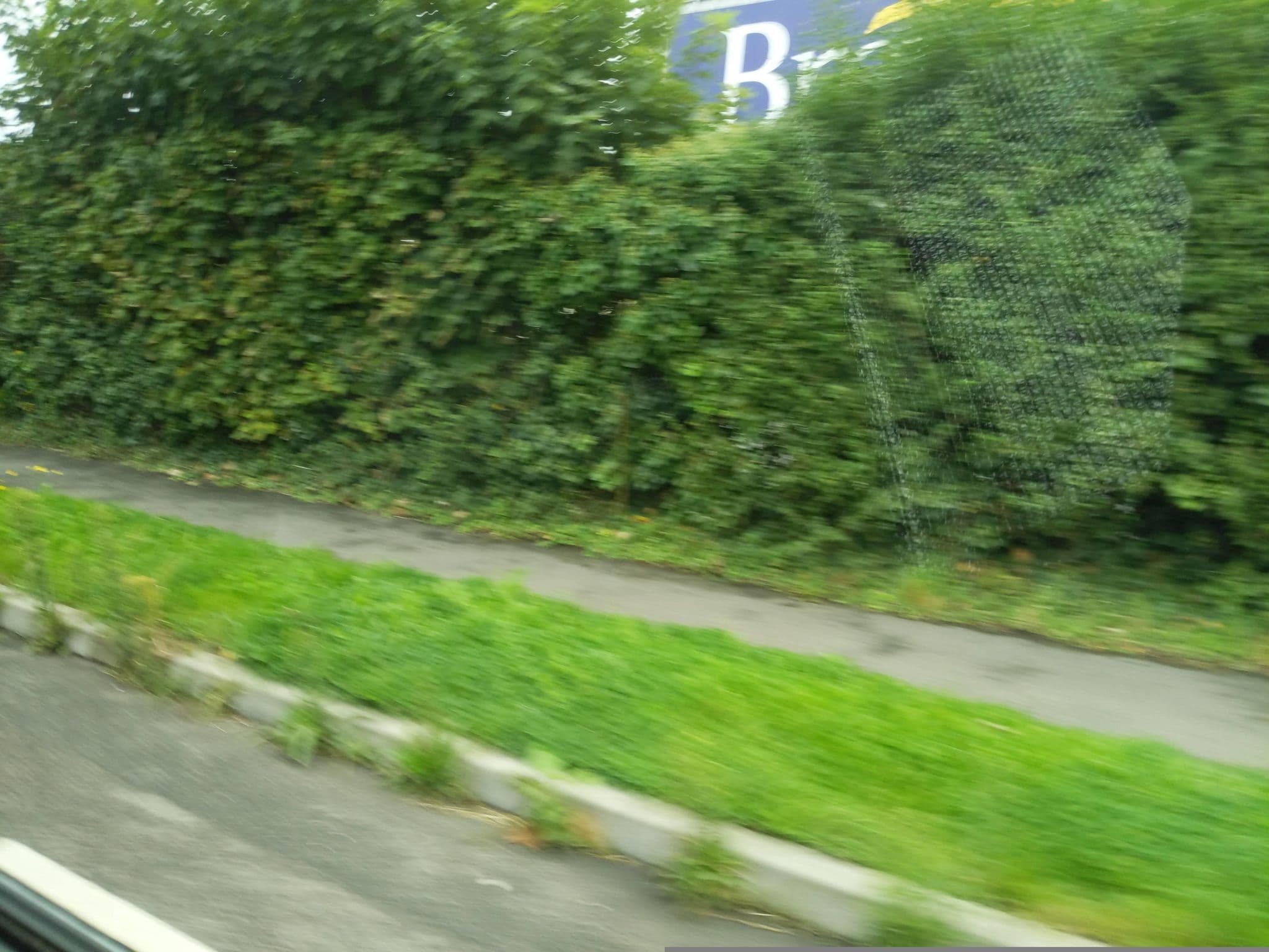 Street view near Trees Dale Lodge in Hayle, Uny Lelant — © WaggyDog (CC BY-SA · Mapillary)