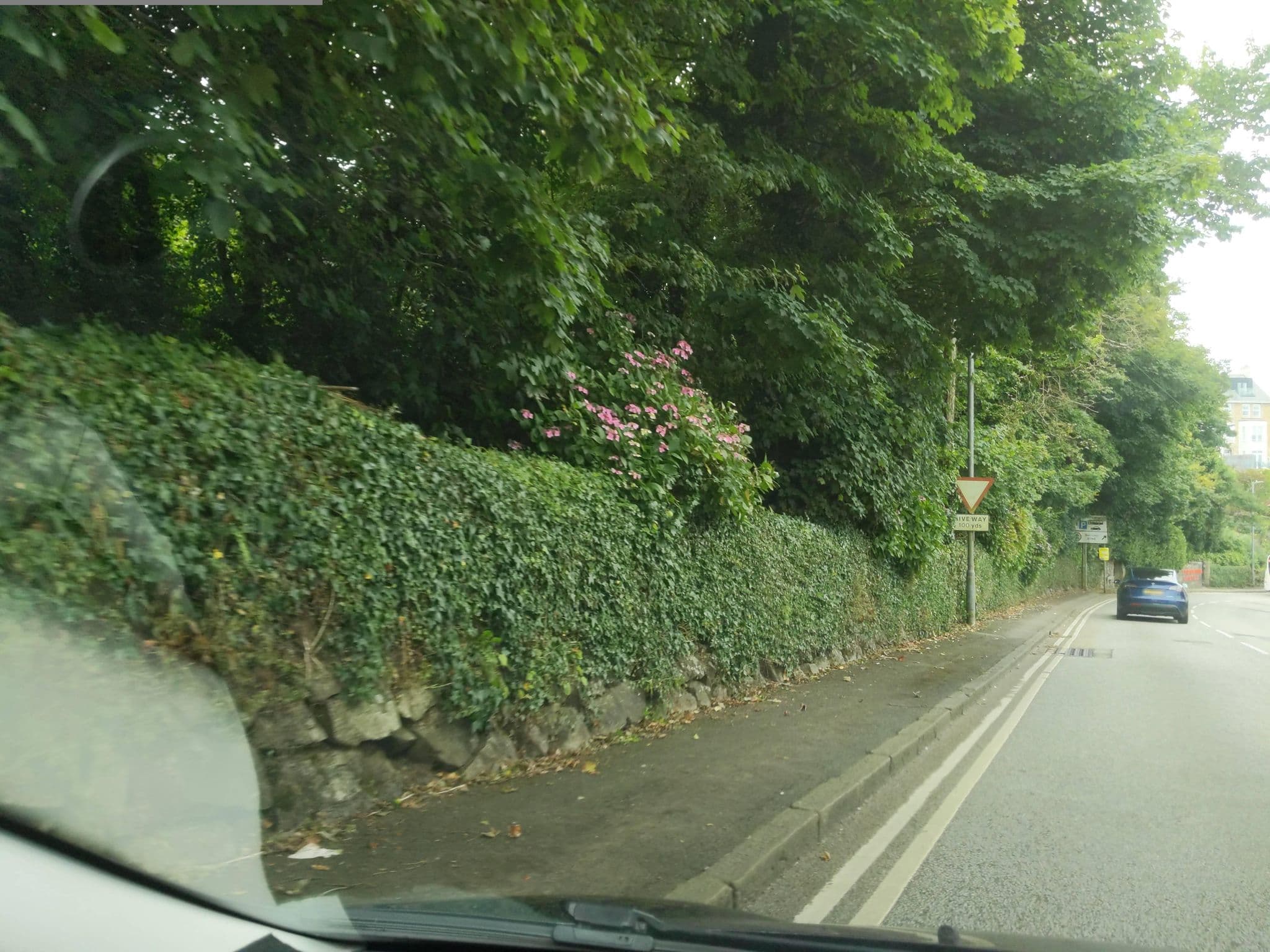 Street view near Pretty Penny B&B, St Ives — © WaggyDog (CC BY-SA · Mapillary)