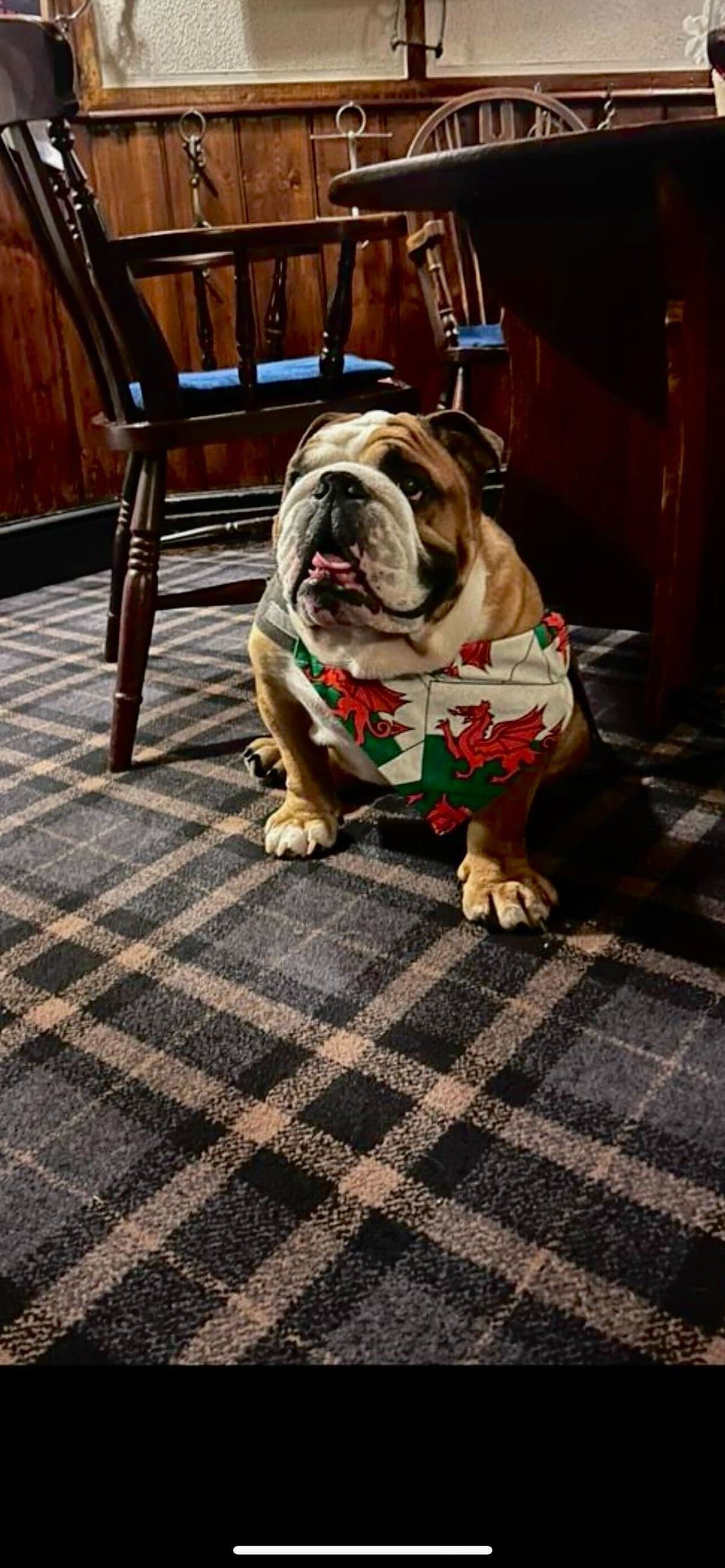 Nags Head Inn, Usk