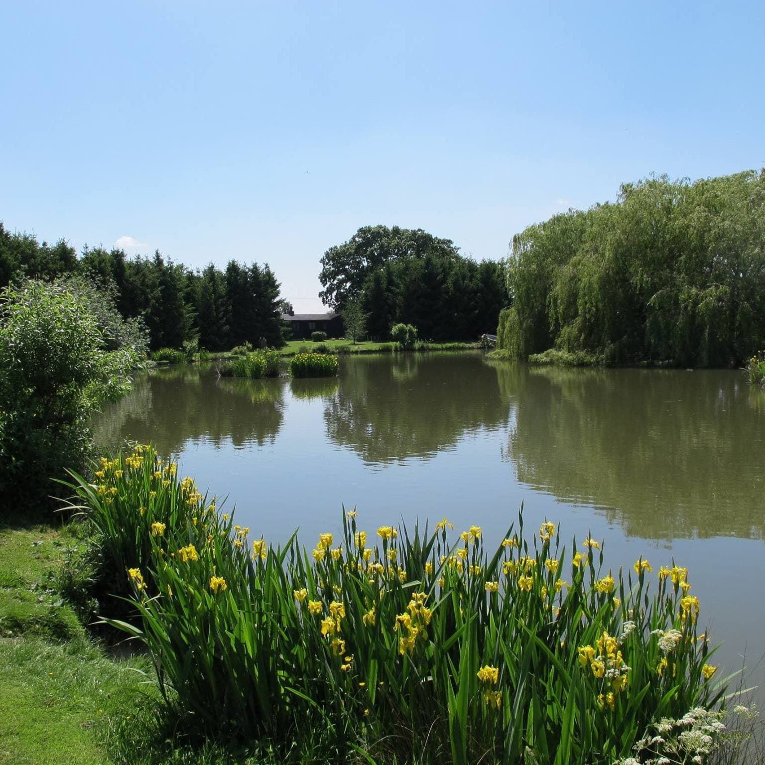 Westerly Lake Fishing & Caravan Park, Wheldrake