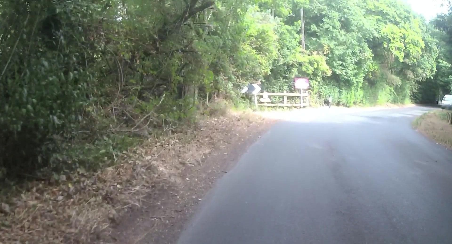 Street view near Luckford Wood Caravan and Camping Park, Wool — © jpennycook (CC BY-SA · Mapillary)