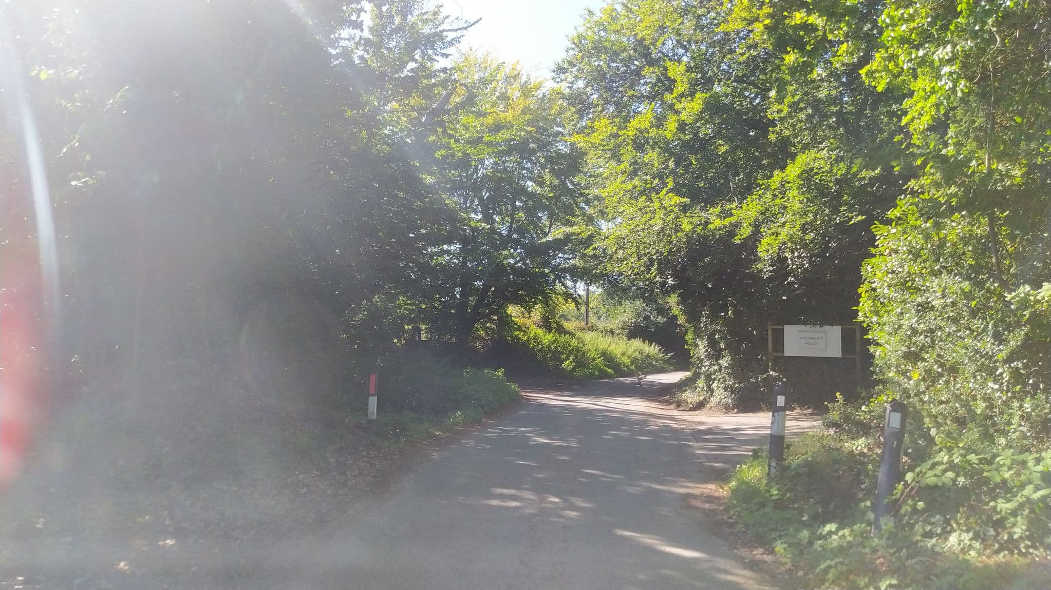 Street view near Holmegate House and Wing, Wareham — © noid (CC BY-SA · Mapillary)